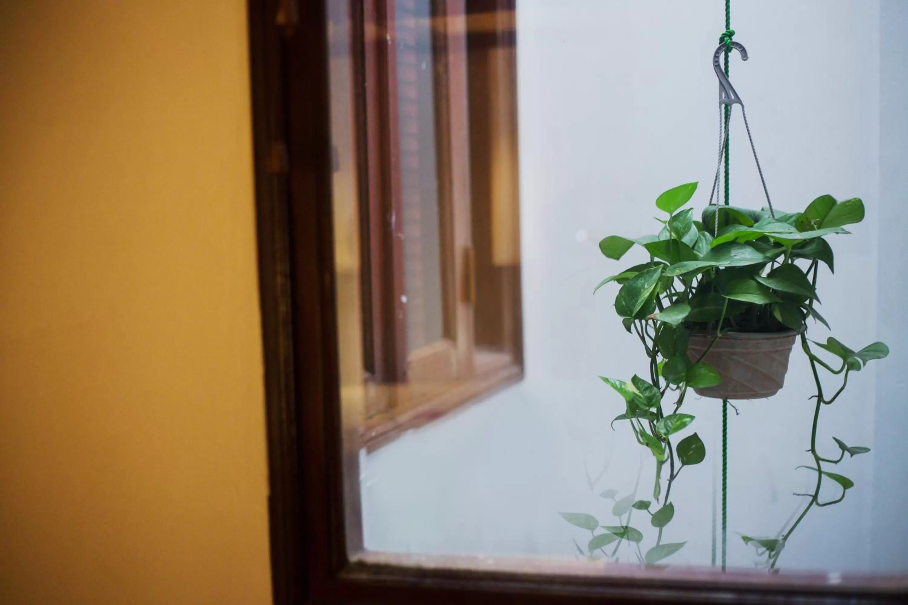 Area and facilities in Hanoi Endless Hotel