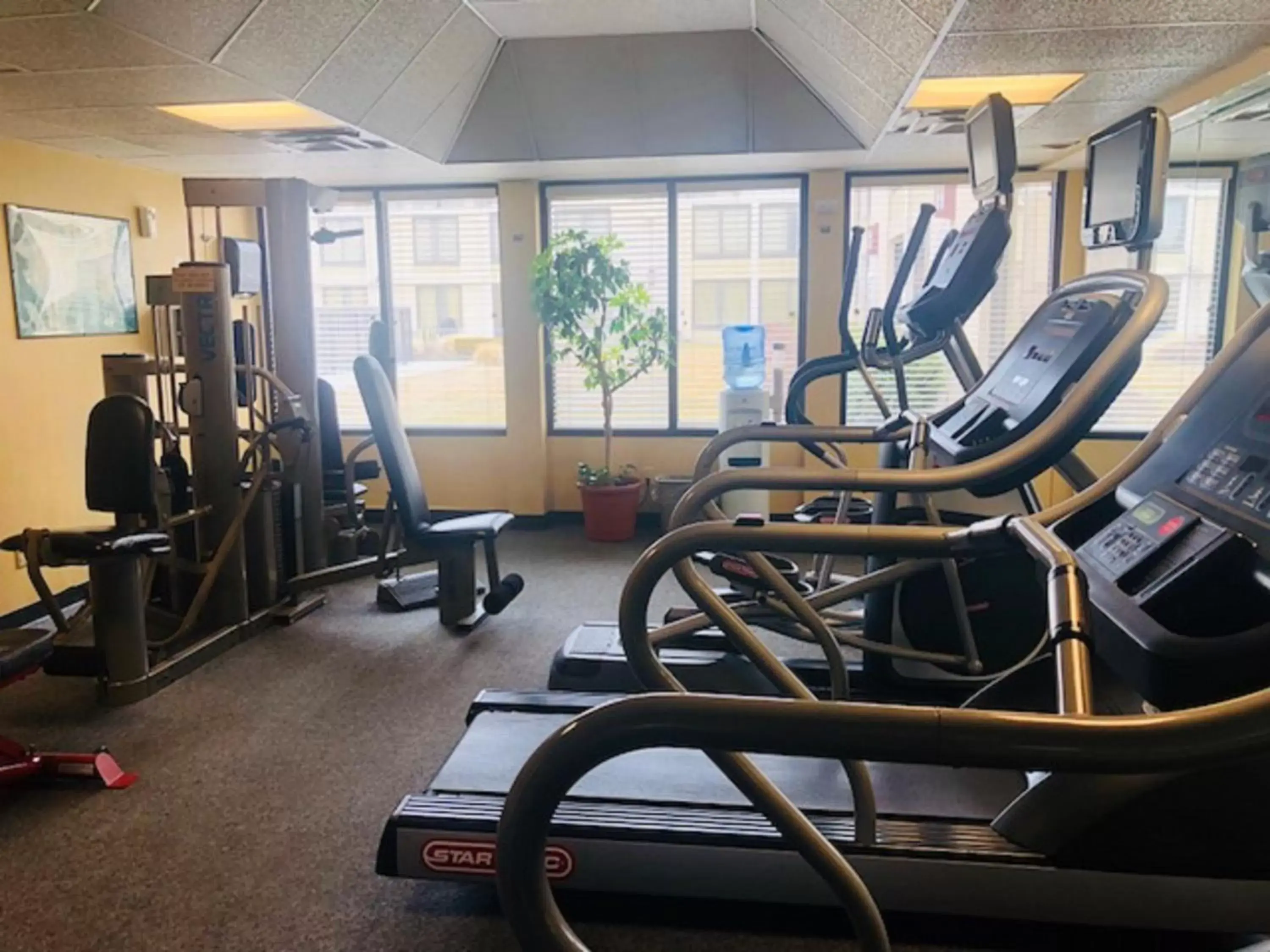 Fitness centre/facilities, Fitness Center/Facilities in Buffalo Airport Hotel