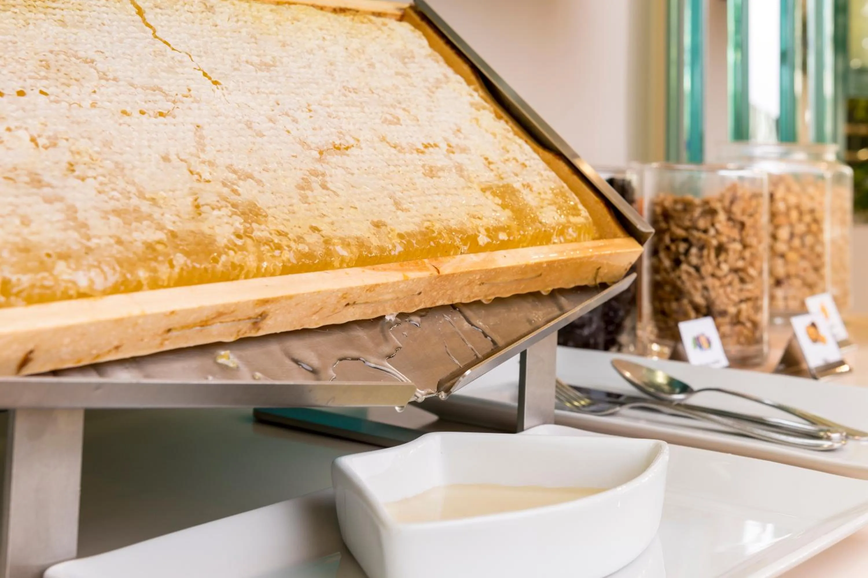 Breakfast in Hotel Salus Terme - Adults Only