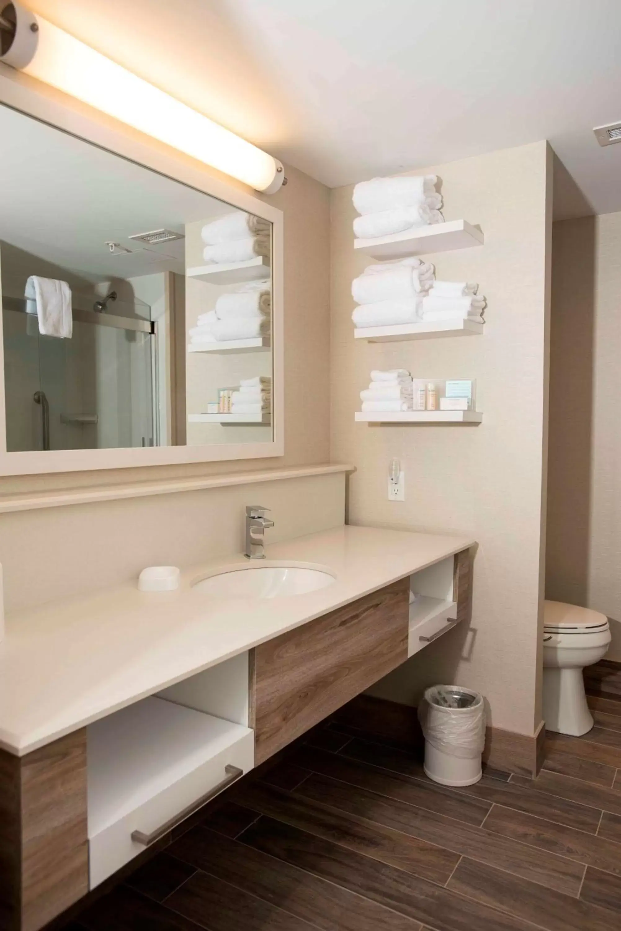 Bathroom in Hampton Inn & Suites by Hilton Thunder Bay