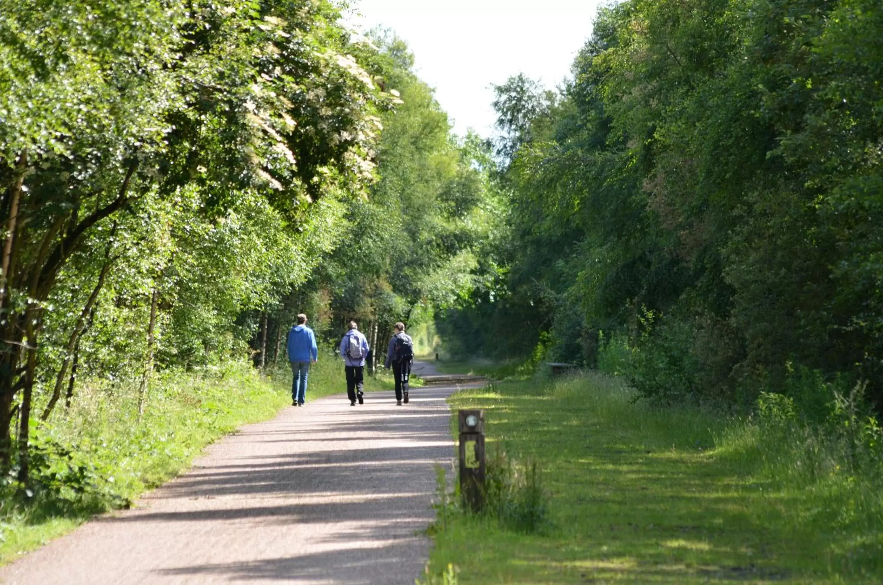 Natural landscape in Lyndene