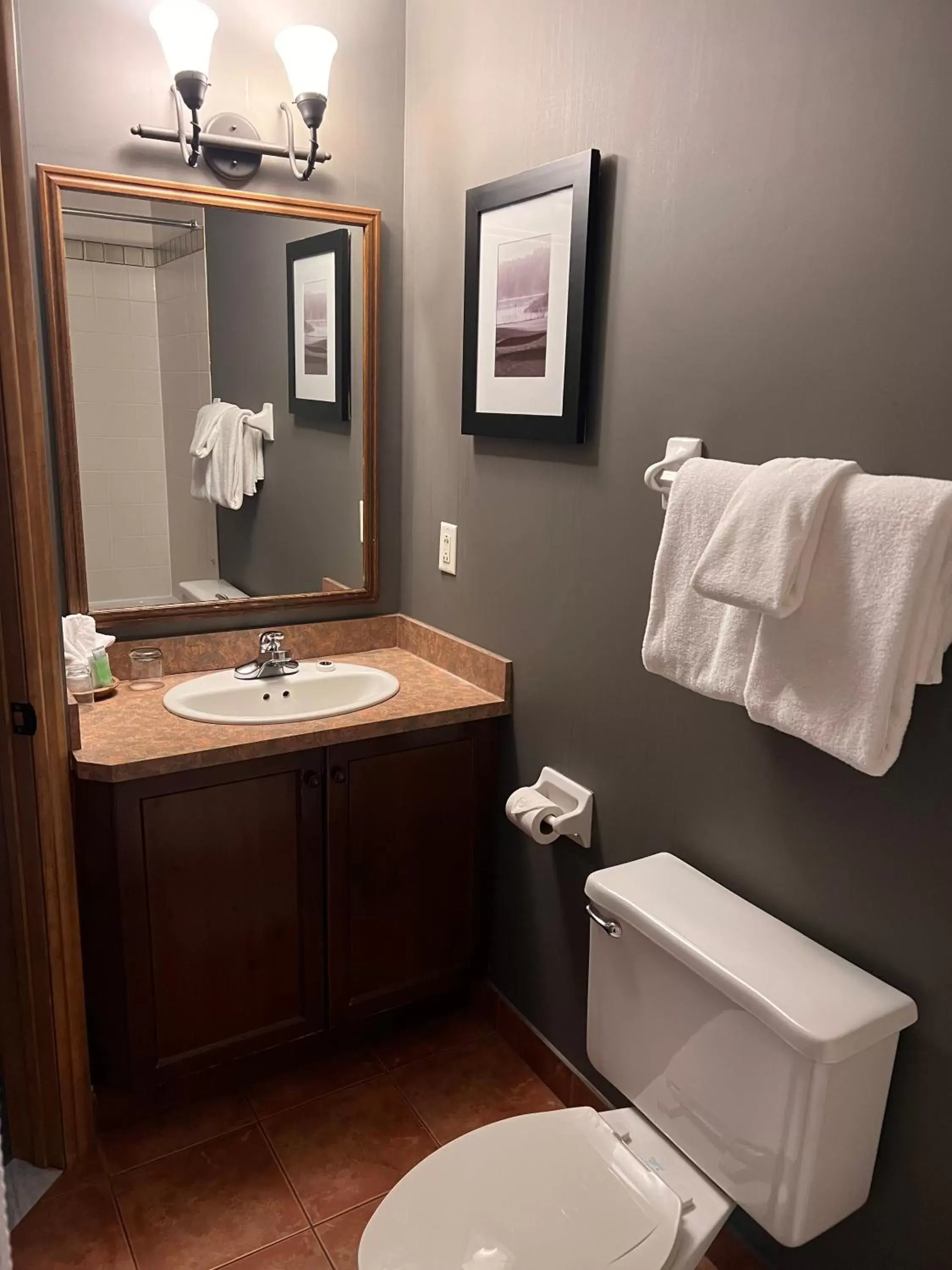 Bathroom in Le Grand Lodge Mont Tremblant