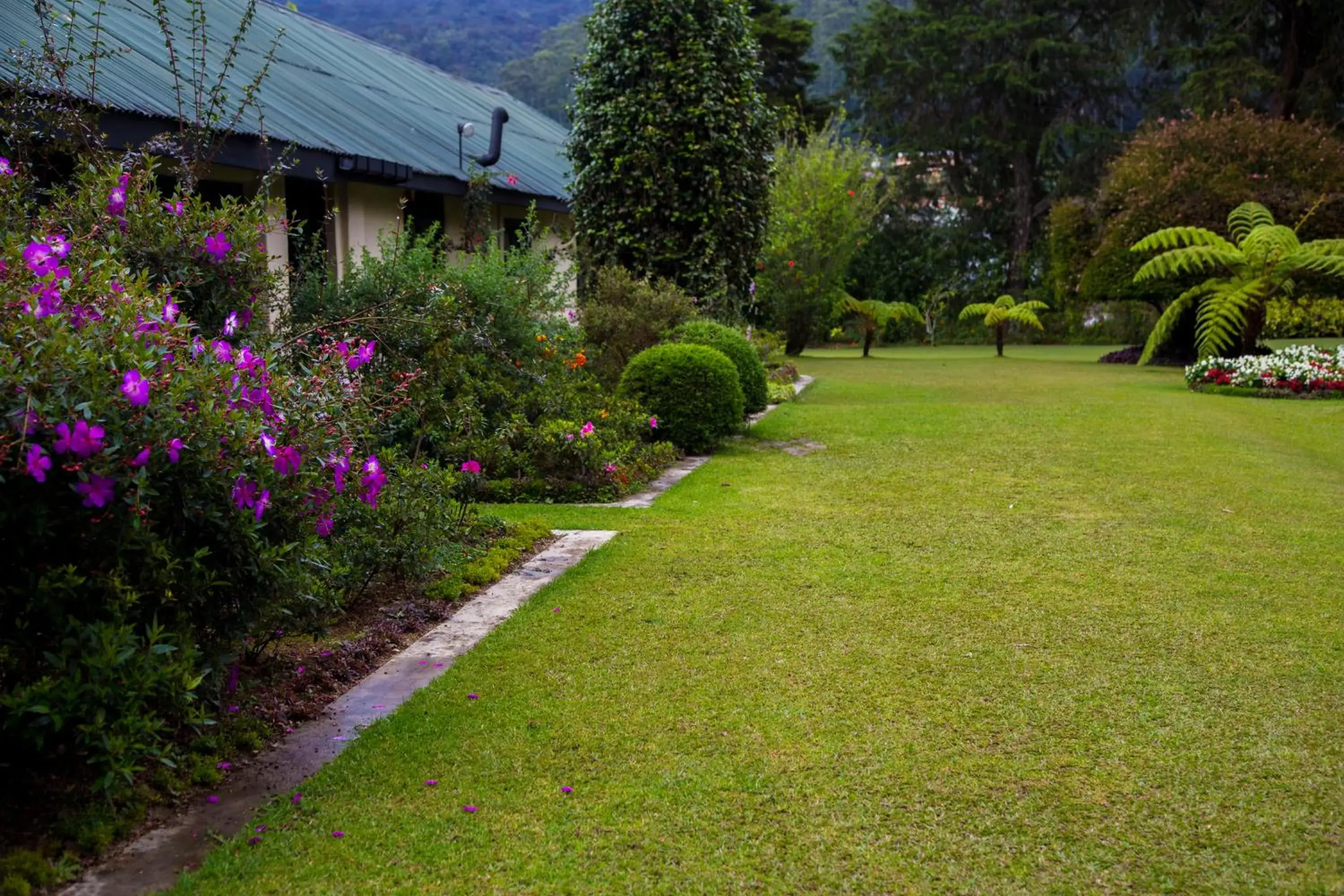 Garden in Ferncliff Bungalow