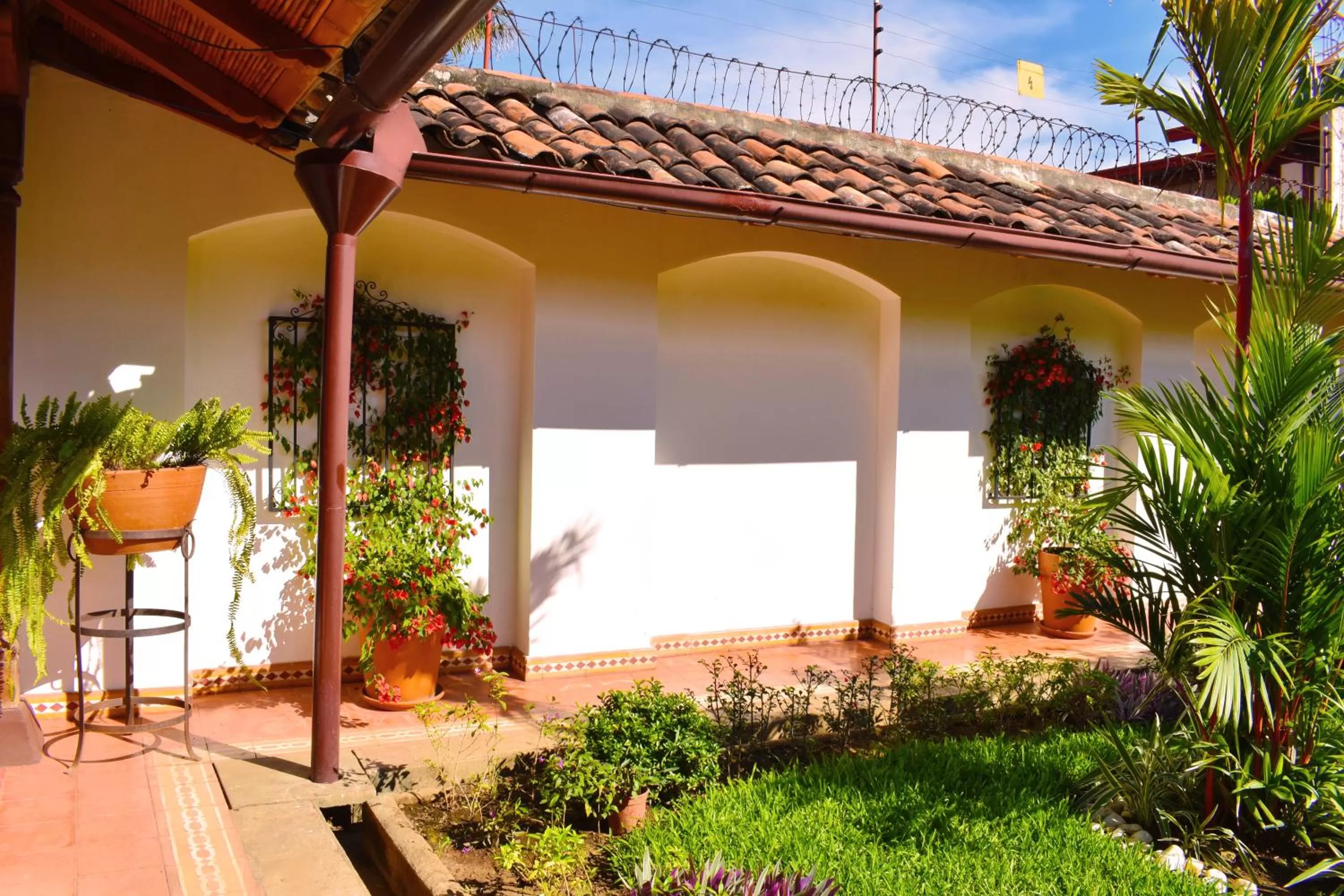 Garden in Hotel Boutique Adela