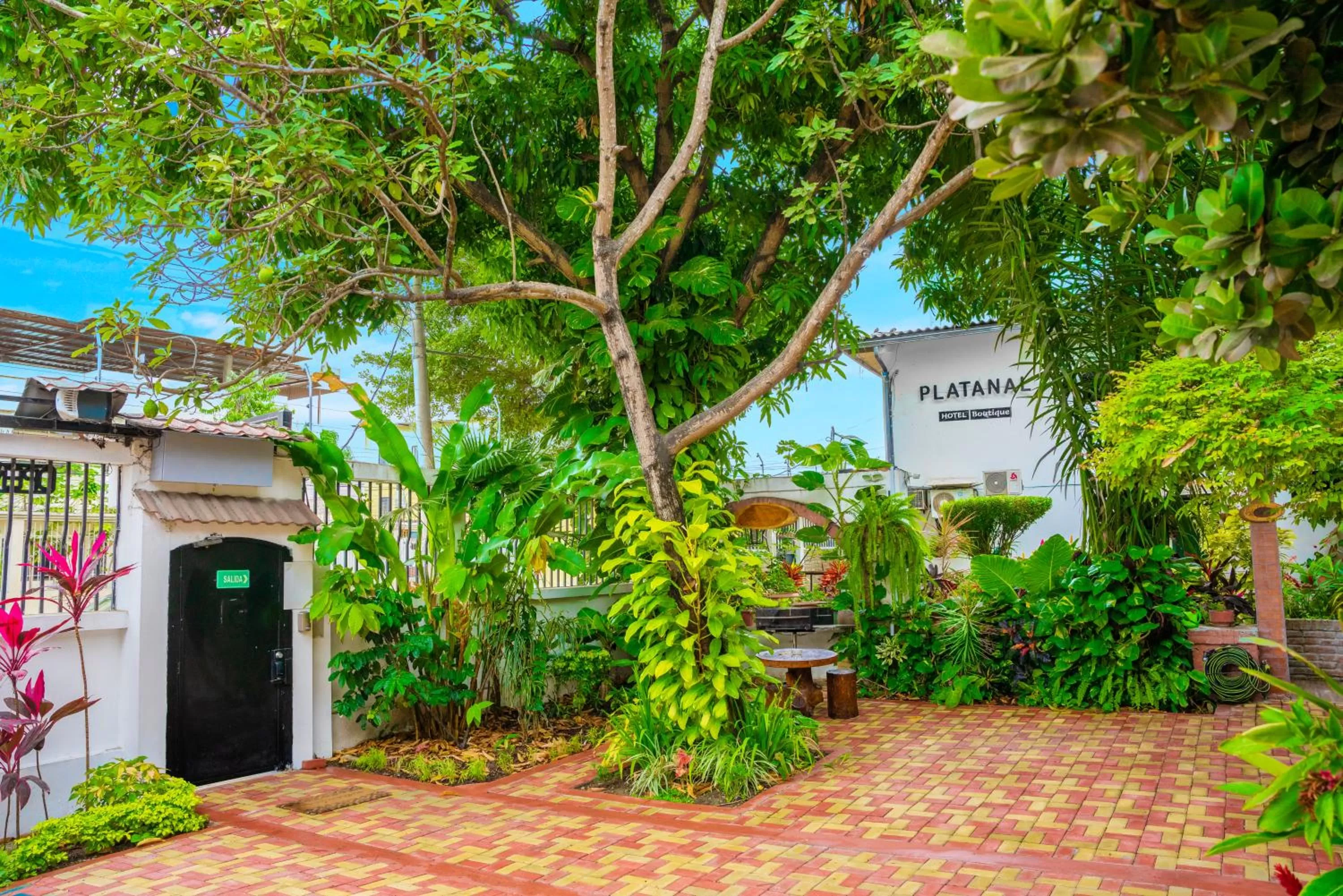Garden in Hotel Boutique Platanal