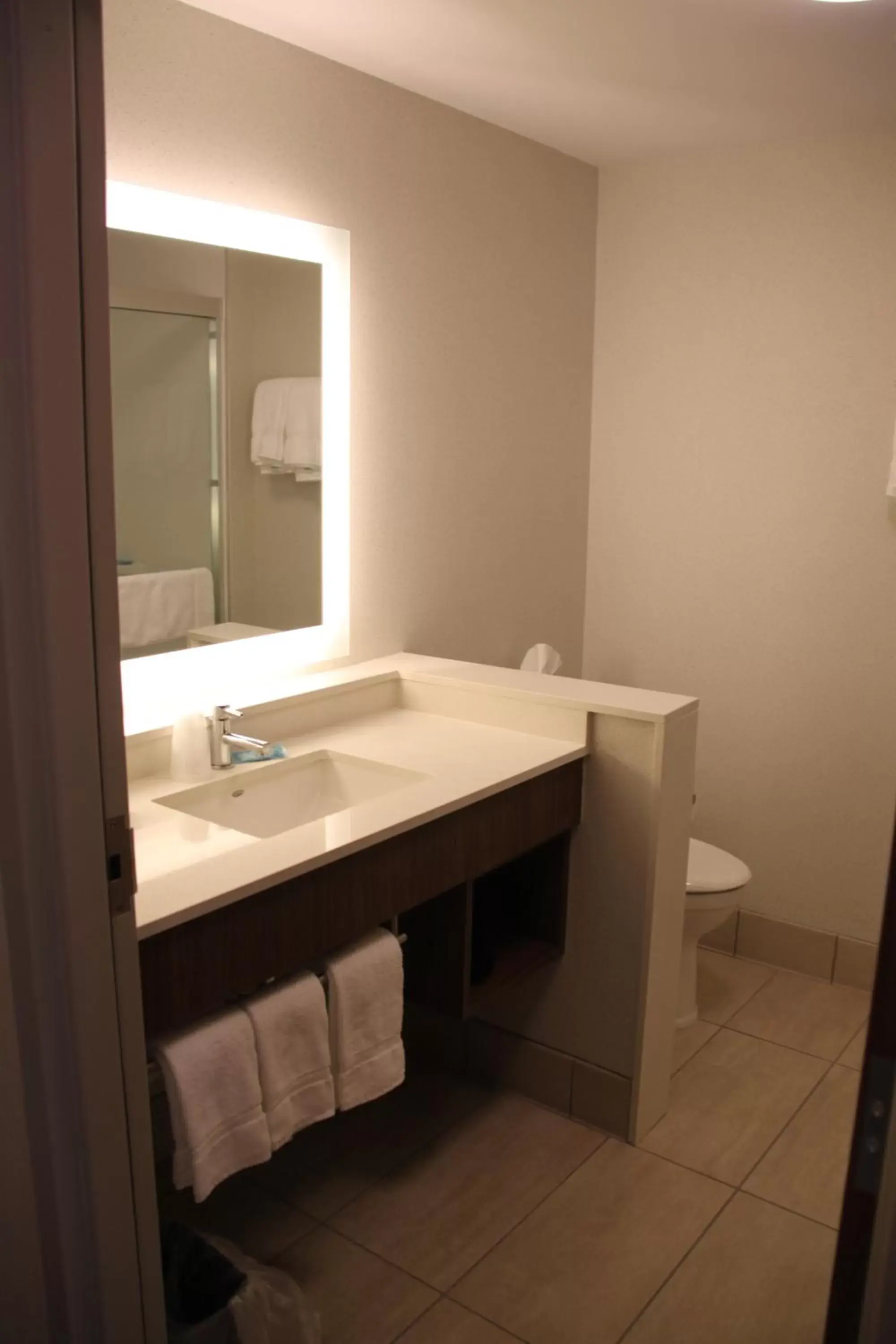Bathroom in Holiday Inn Express - Canton, an IHG Hotel