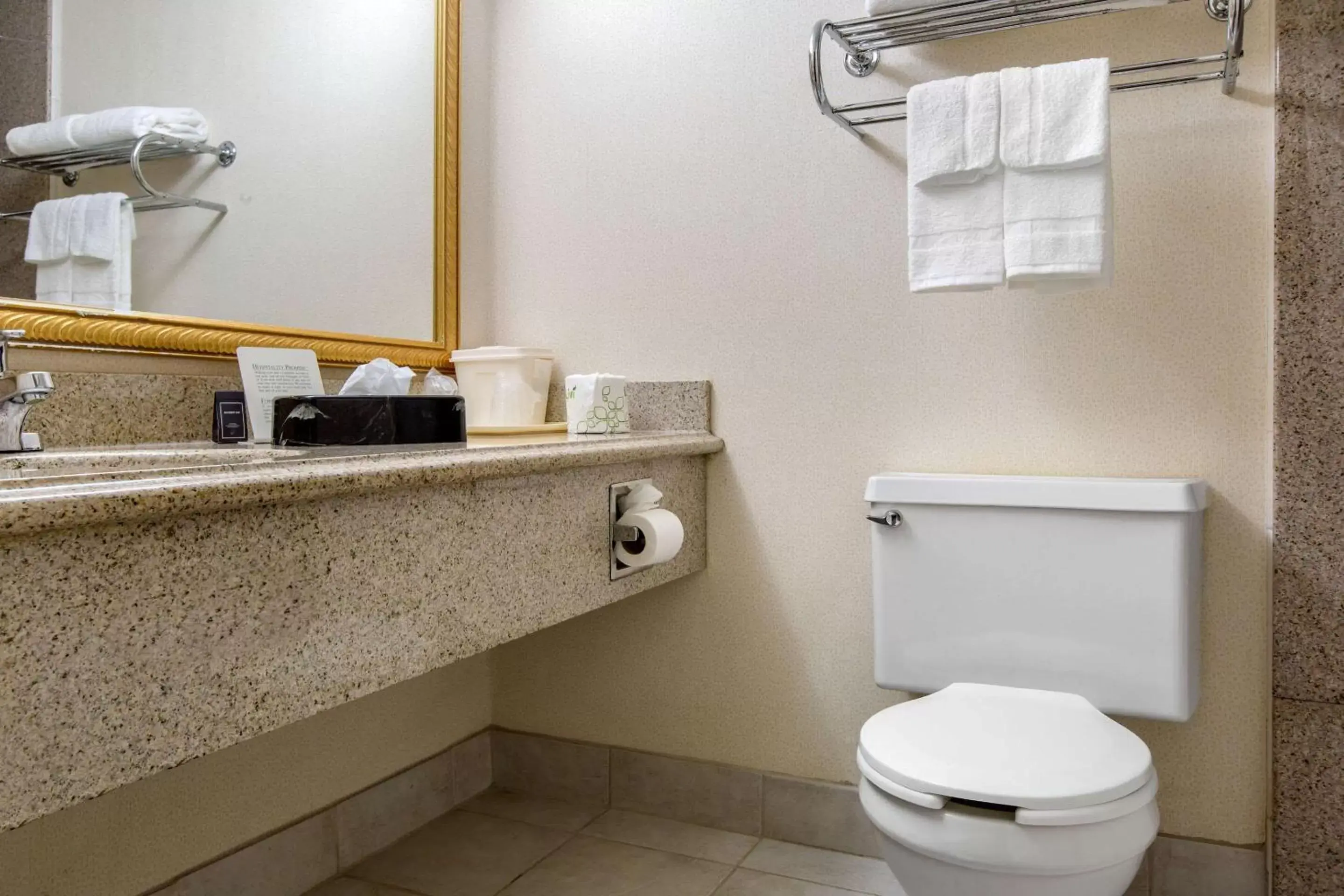 Photo of the whole room, Bathroom in Quality Inn Ledgewood - Dover