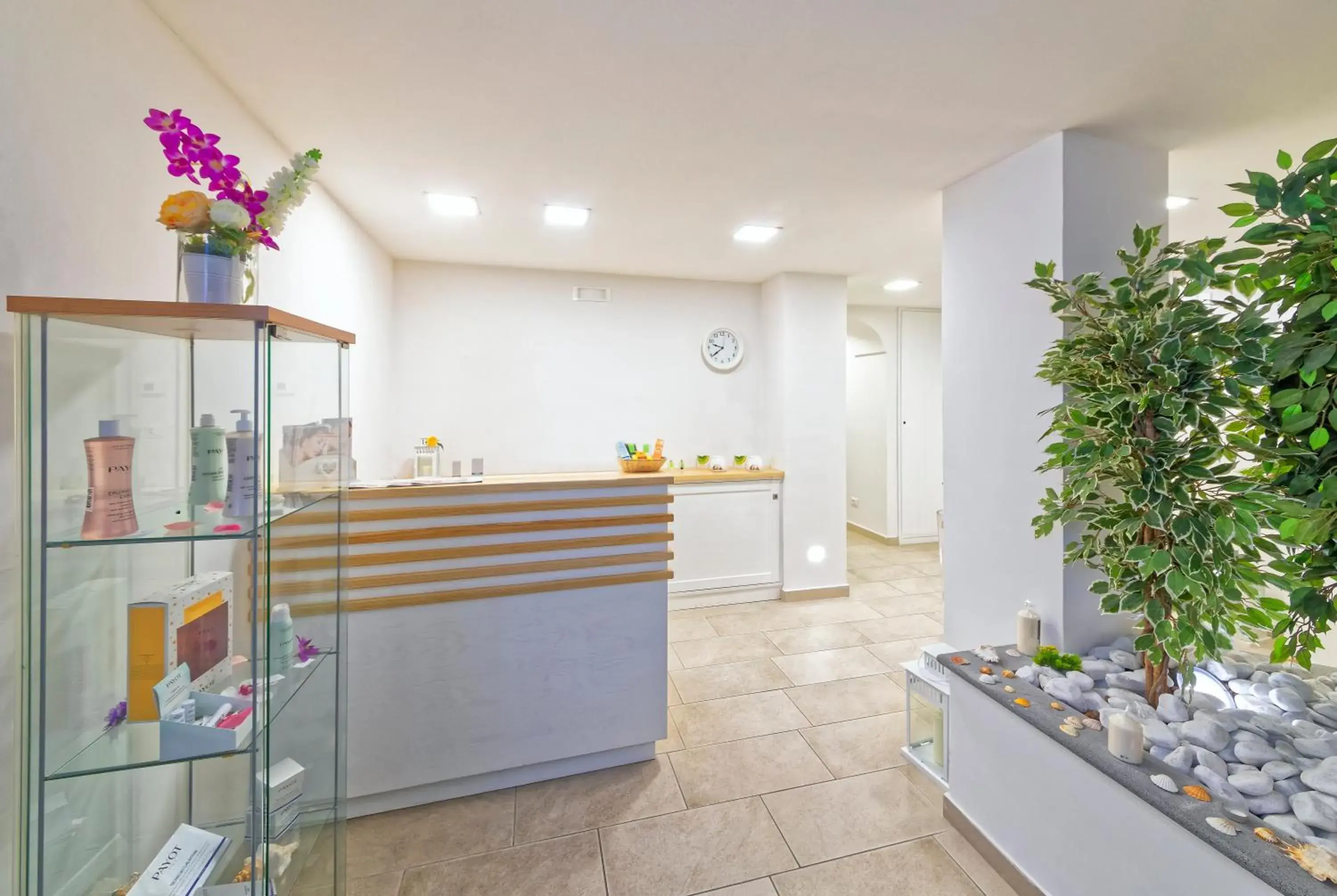 Spa and wellness centre/facilities, Lobby/Reception in Family Spa Hotel Le Canne