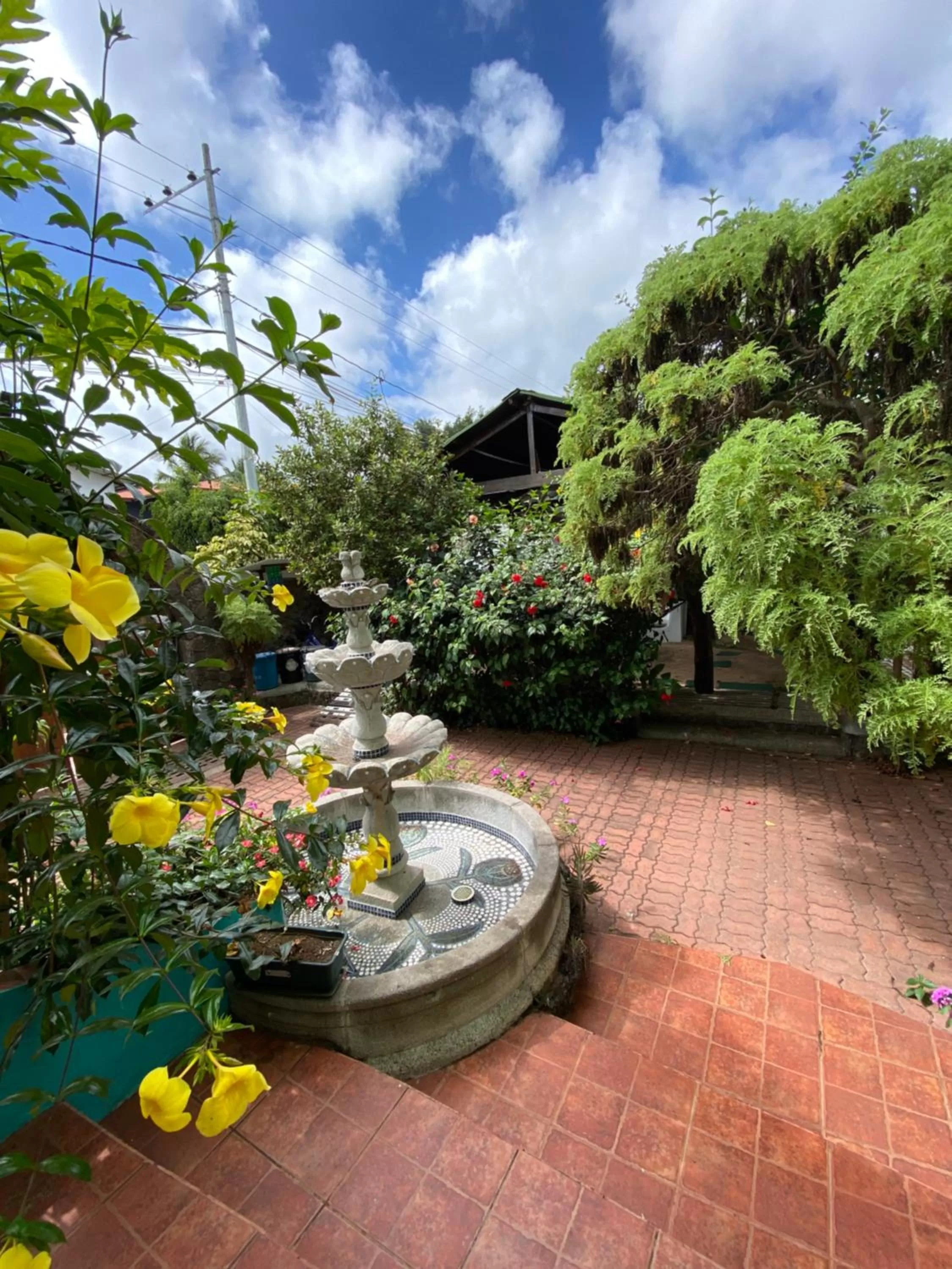 Garden view in Hostal Casa Edén