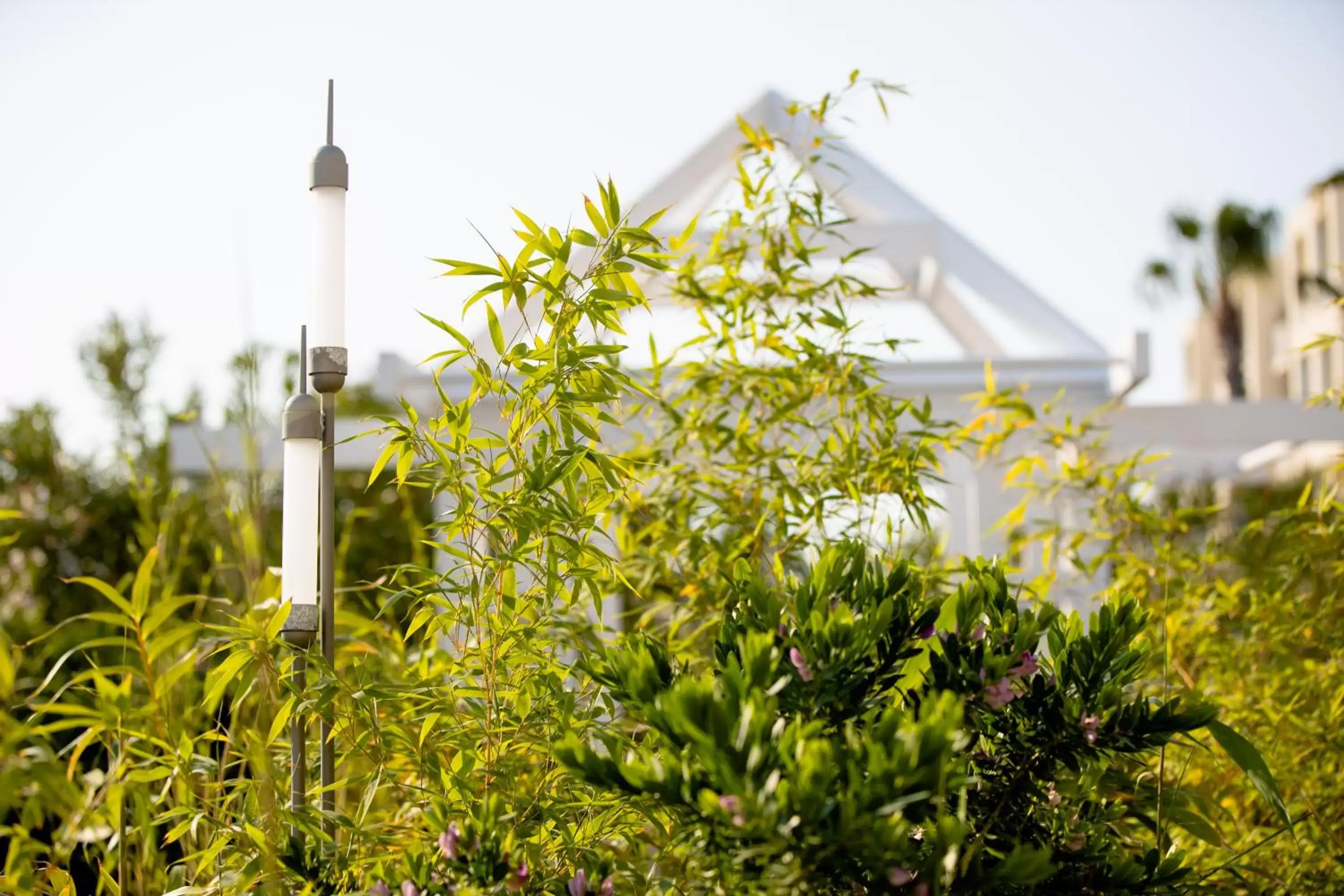 Garden, Property Building in La Blanche Resort & Spa