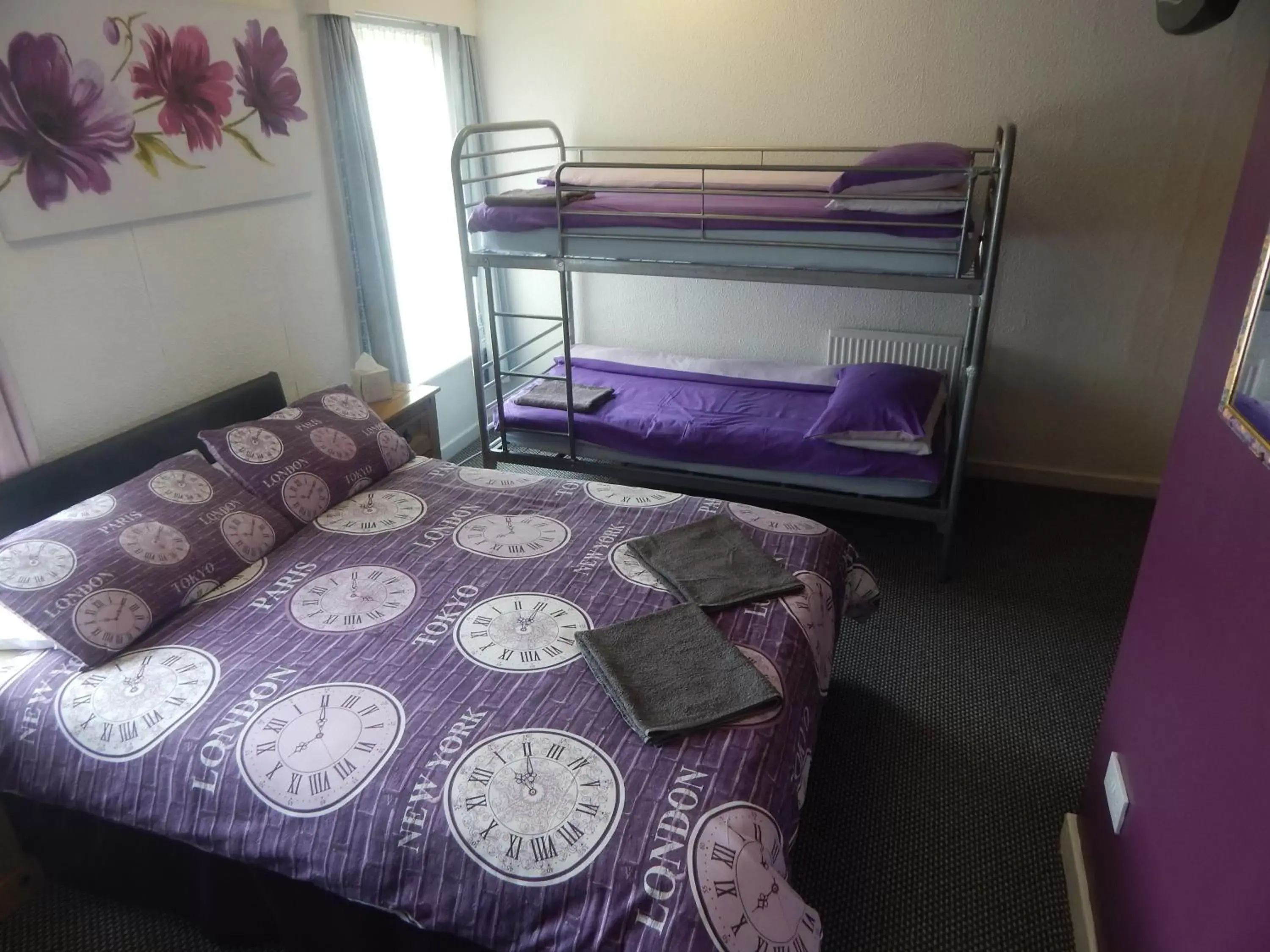 Bunk Bed in Llanryan Guest House