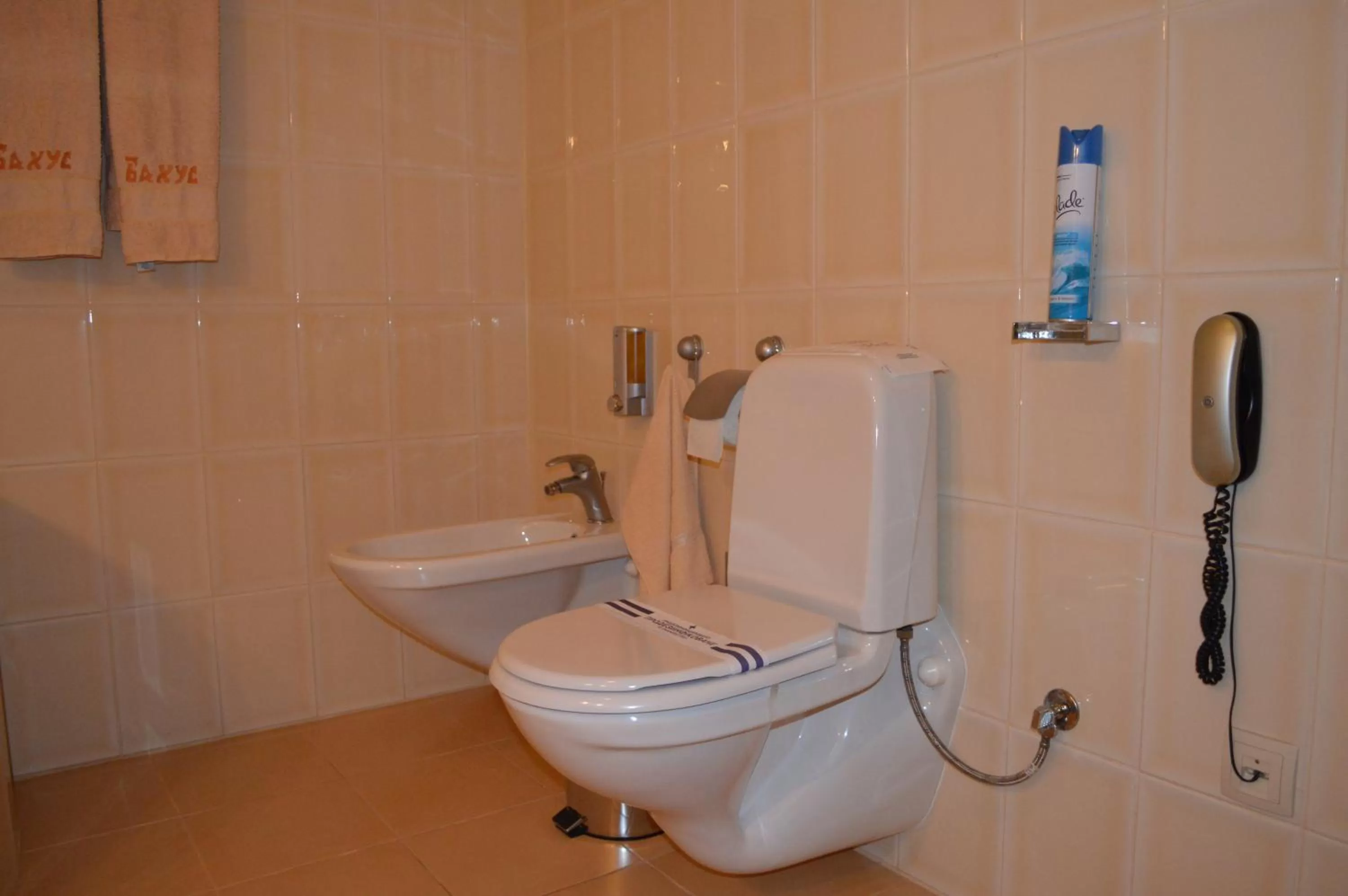 Toilet in Hotel Complex Bahus