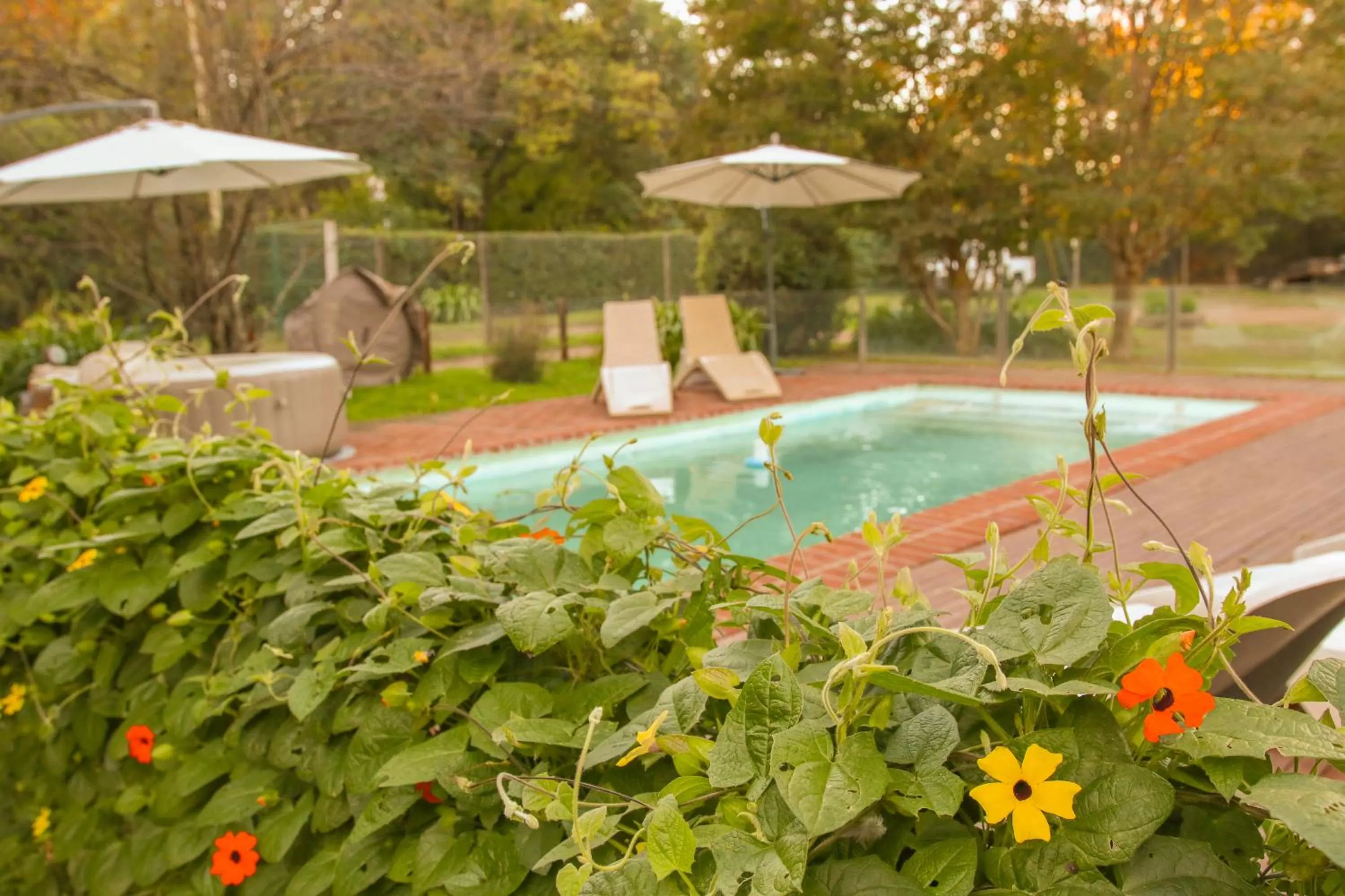 Swimming pool in La Ysidora Hotel & Spa