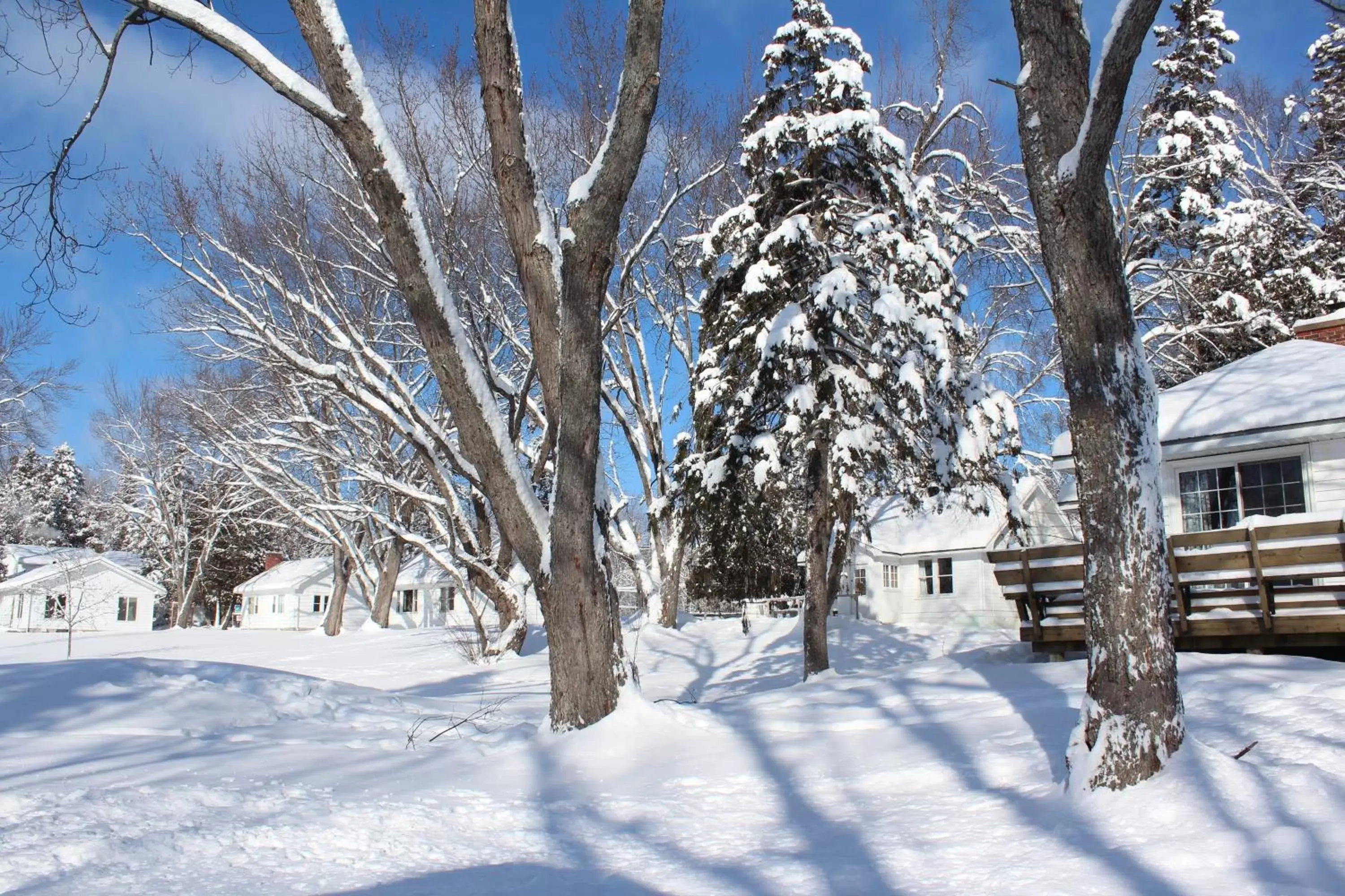 Winter in Tally Ho Inn