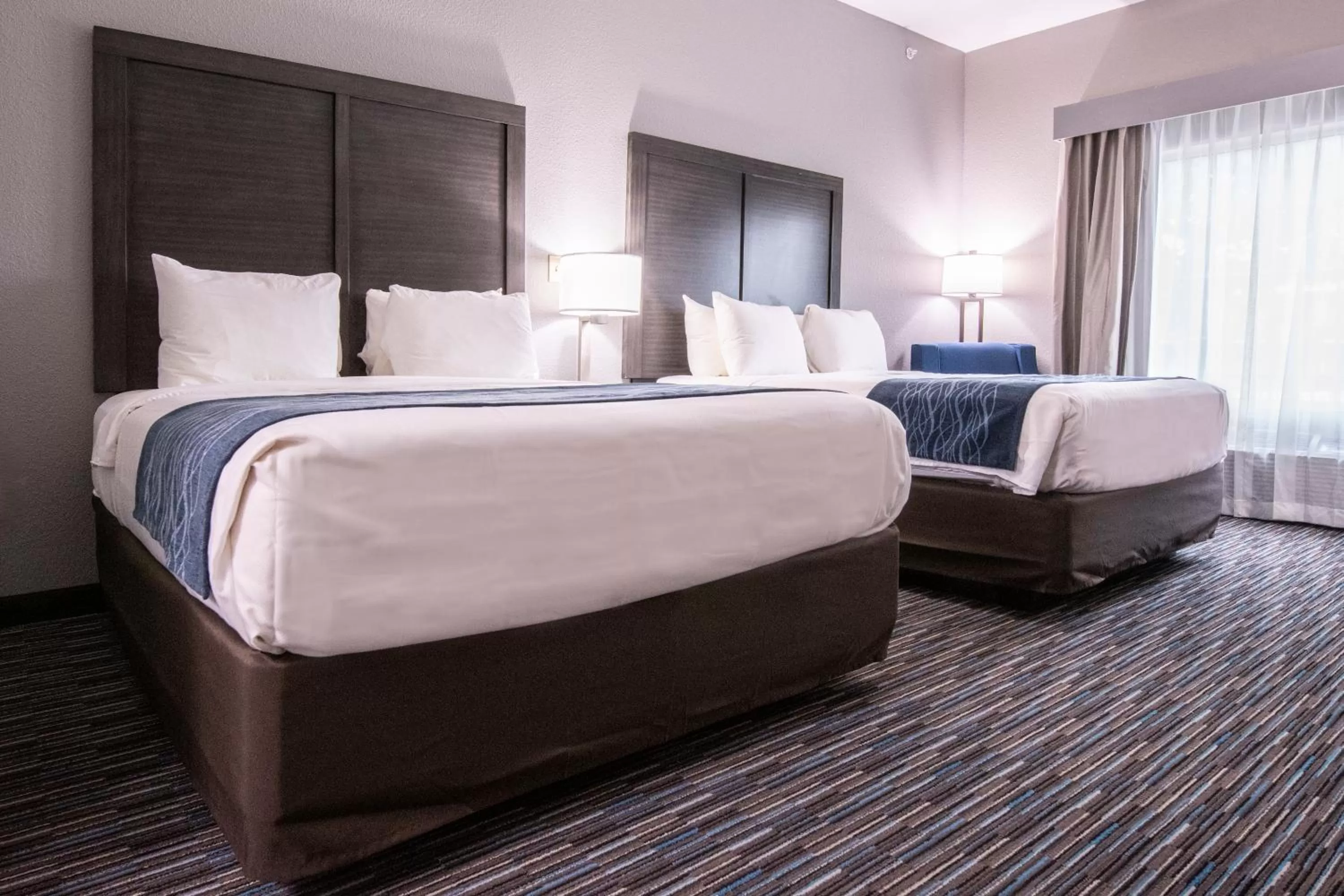 Bed in Comfort Inn & Suites Near Medical Center