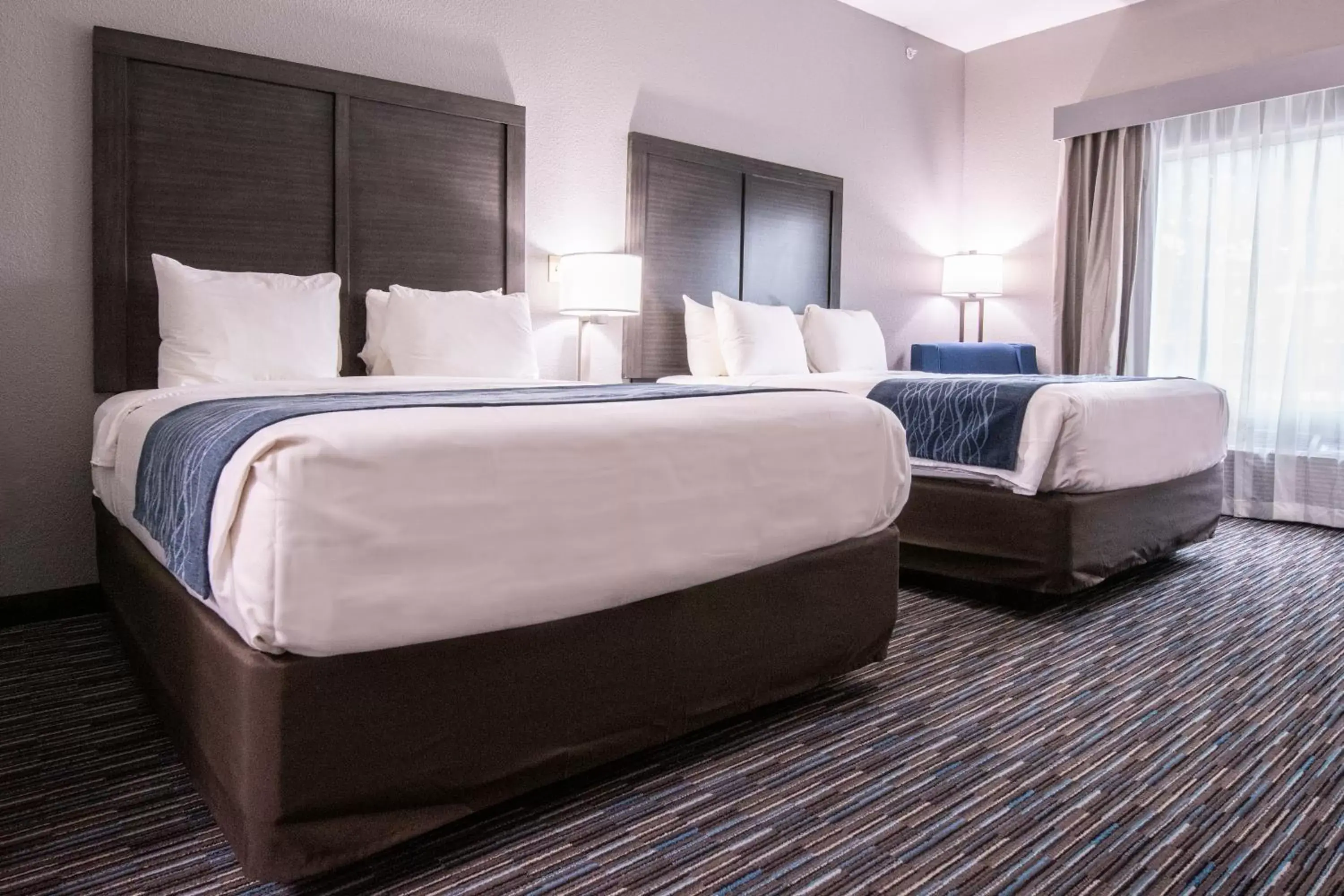 Bed in Comfort Inn & Suites Near Medical Center