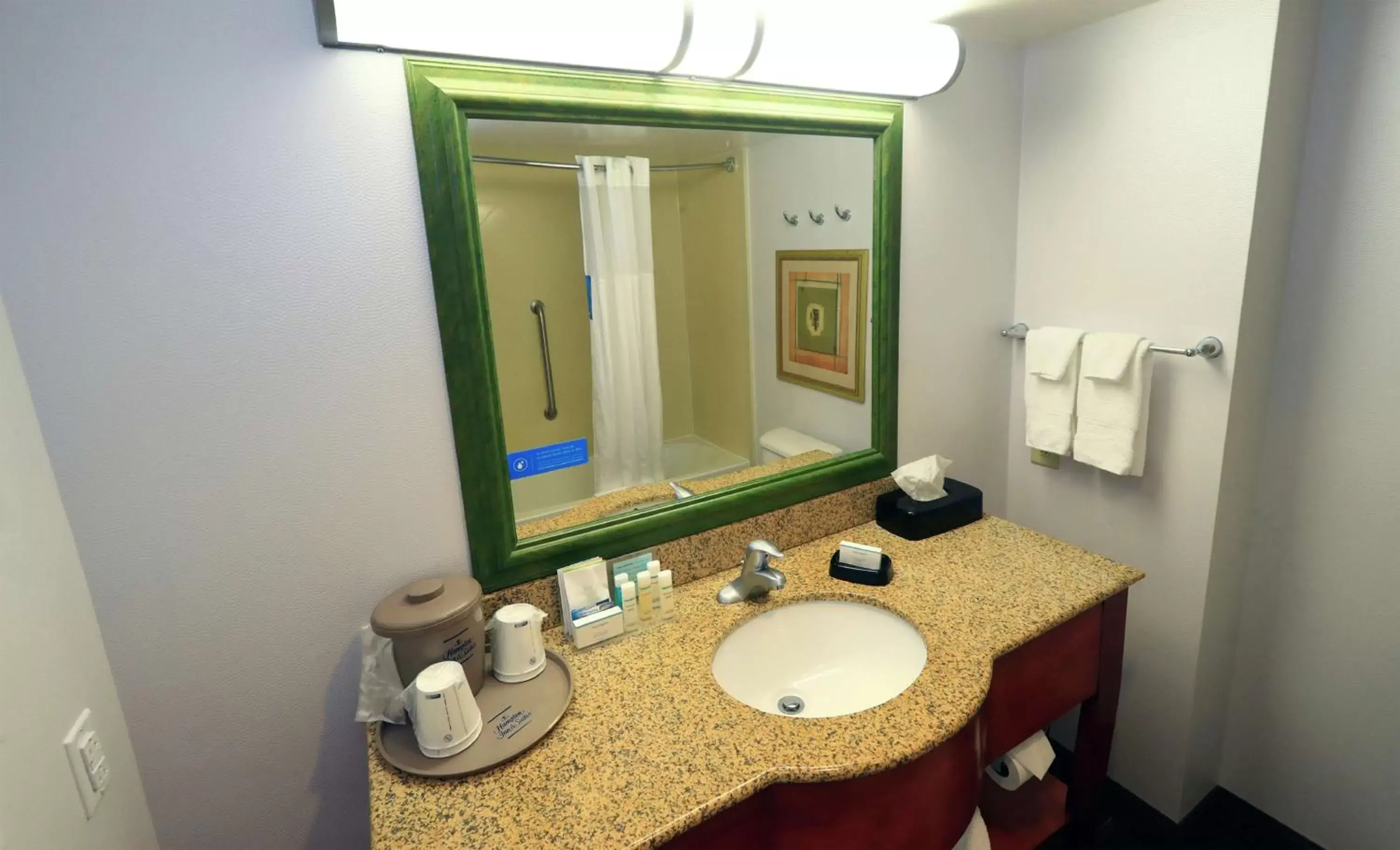 Bathroom in Hampton Inn and Suites of Lamar