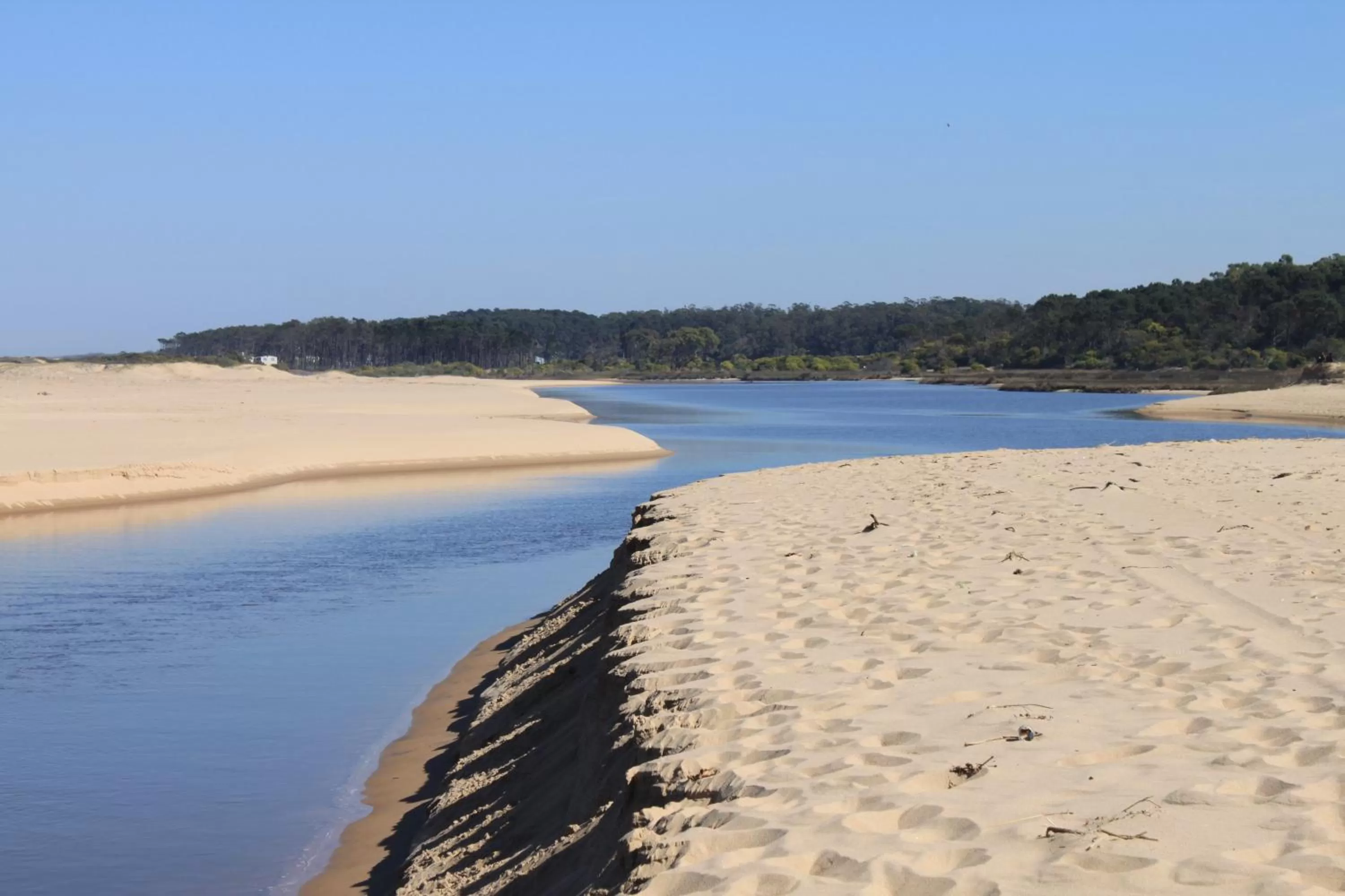 Other in Undarius Hotel (exclusively gay men)