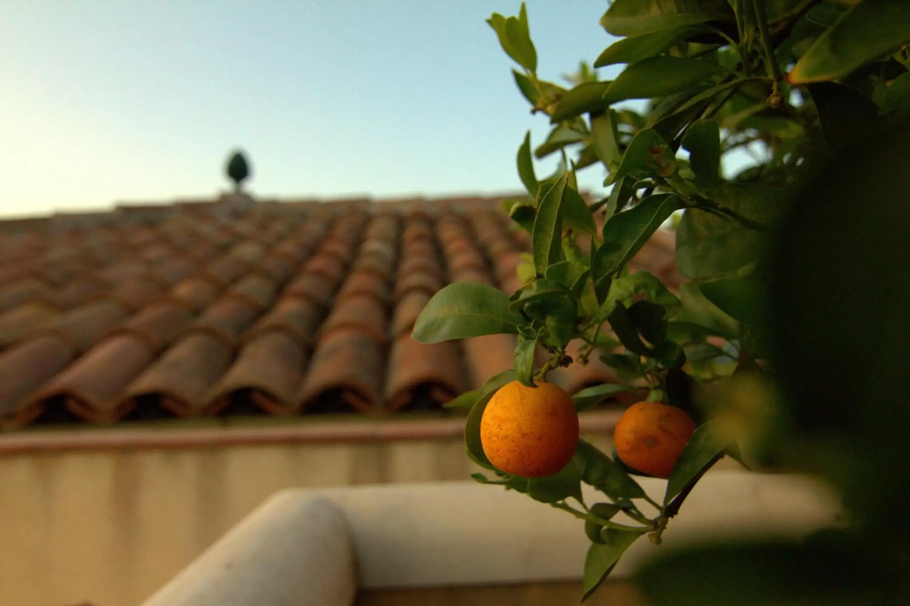 Decorative detail in Torre Archirafi Resort