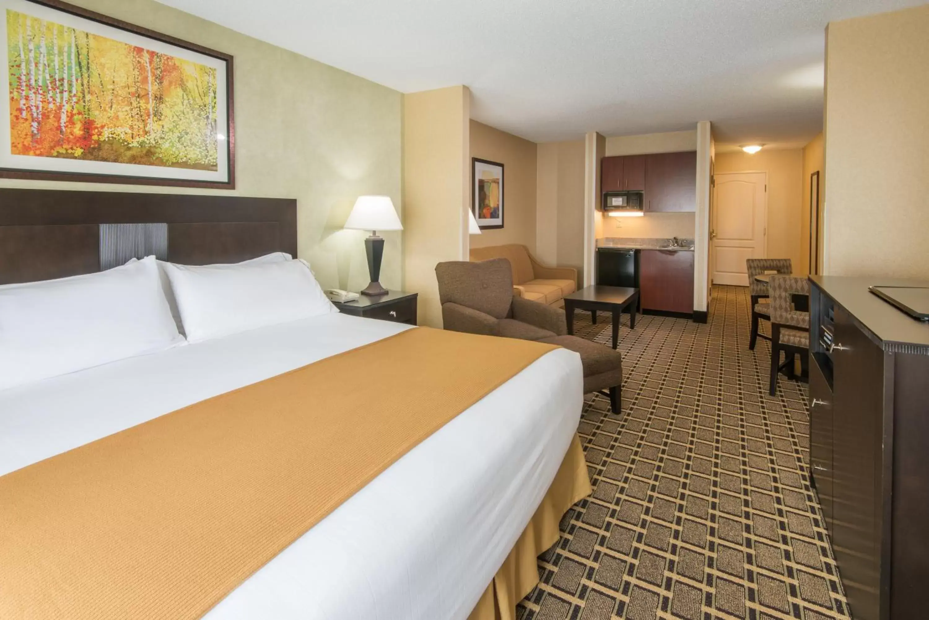 Photo of the whole room, Bed in Holiday Inn Express & Suites - Sharon-Hermitage, an IHG Hotel