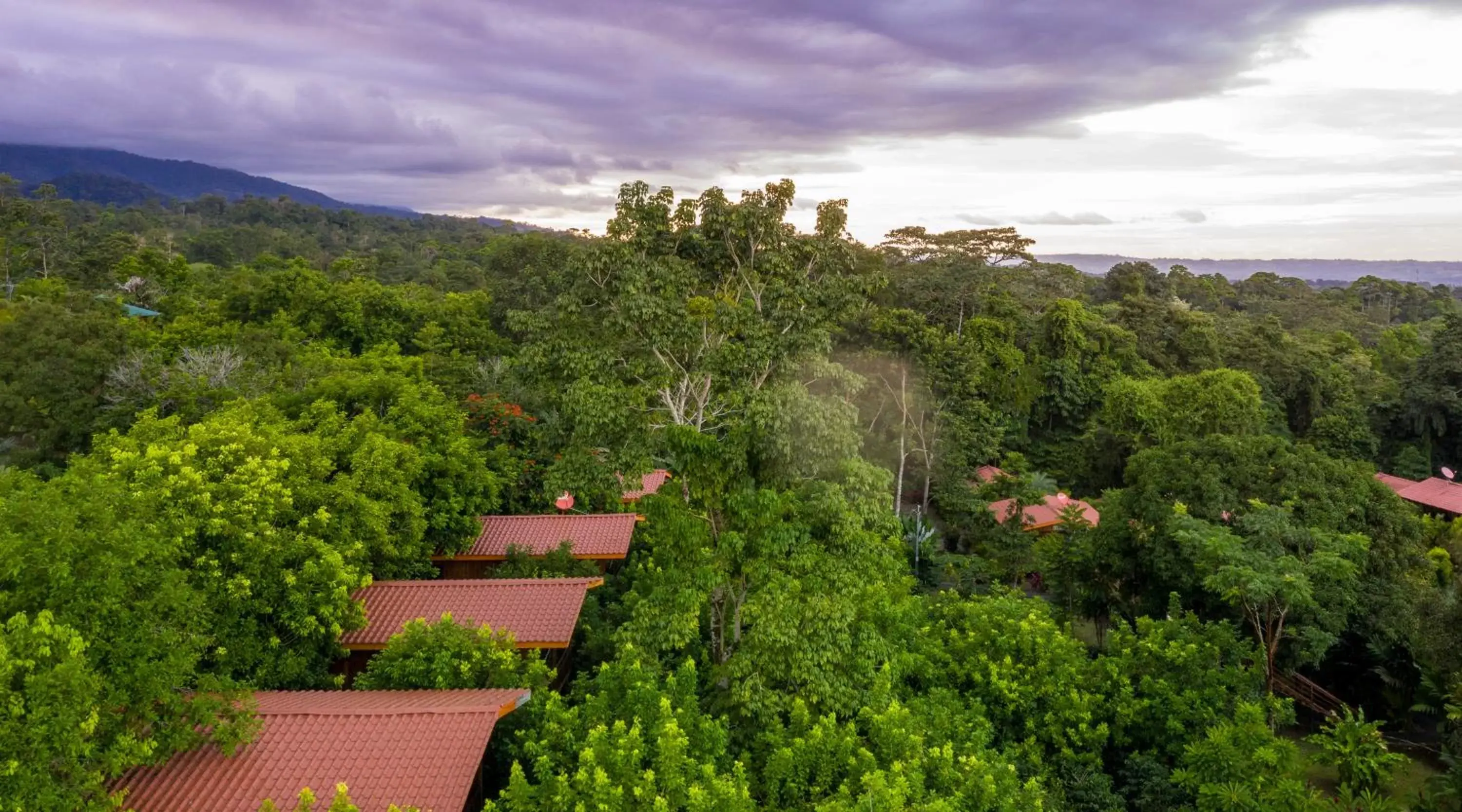 Natural landscape in Hotel Heliconias Nature Inn & Hot Springs