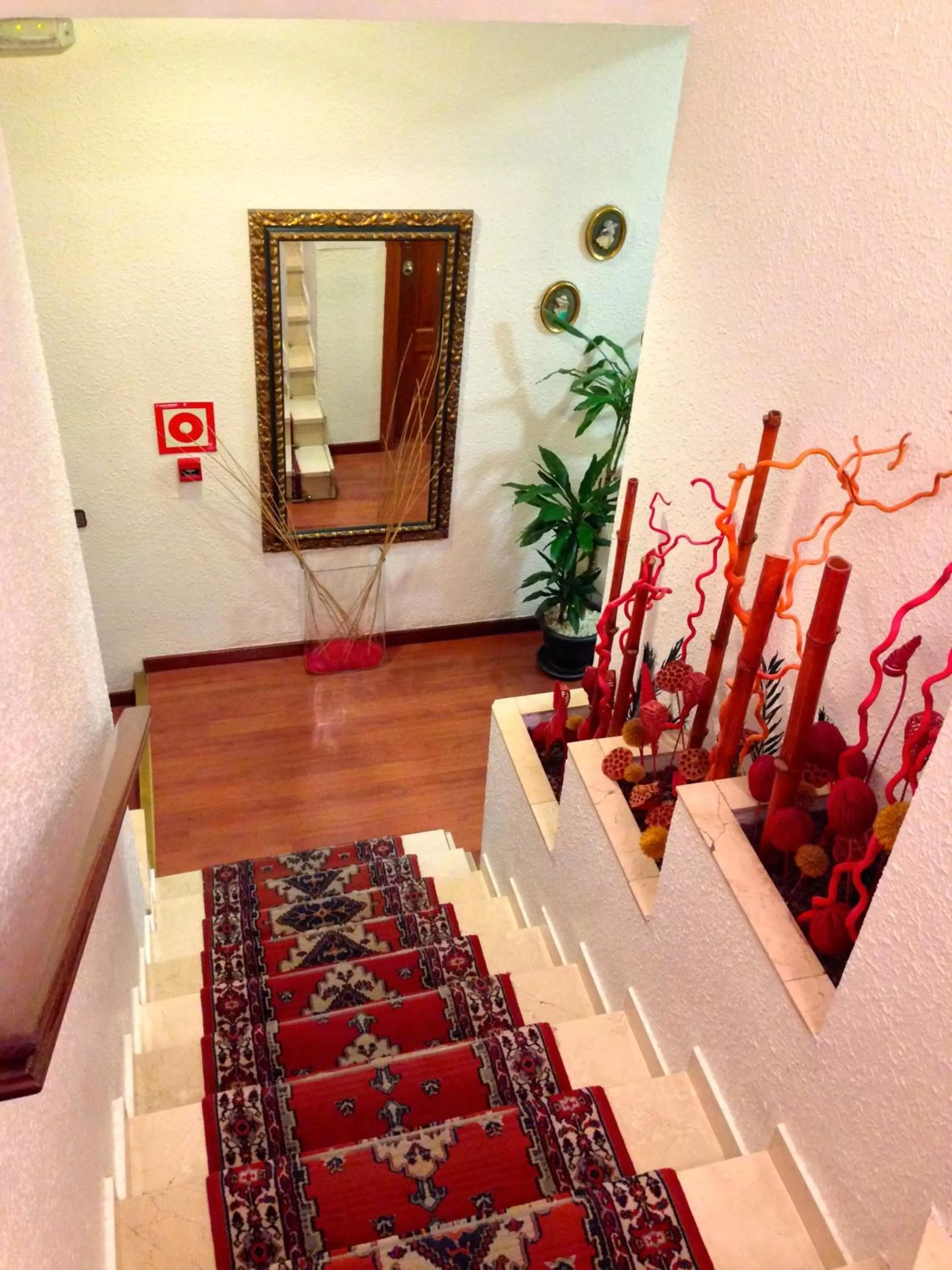 Other in Hotel Pelayo