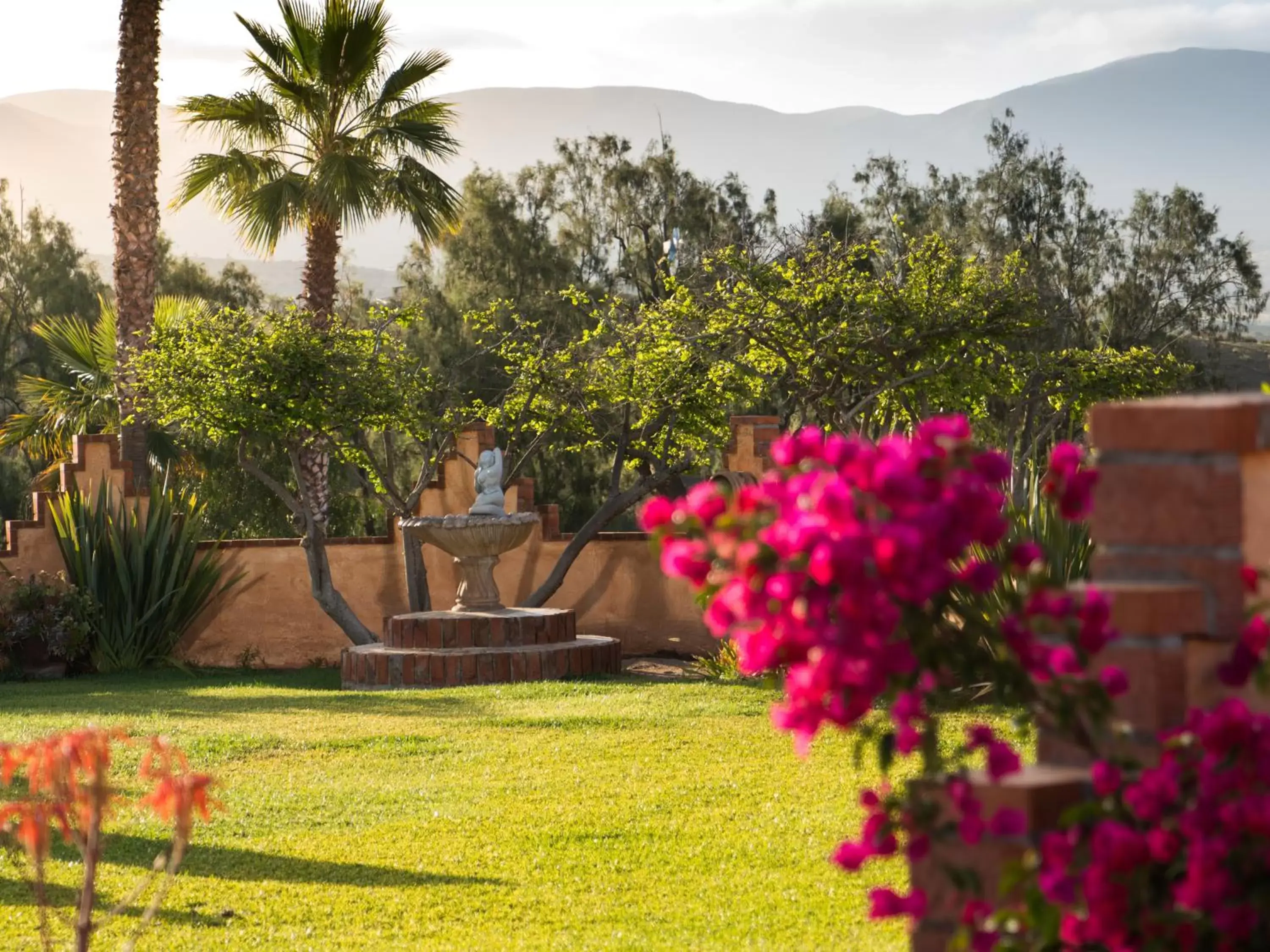 Garden in Horsepower Ranch