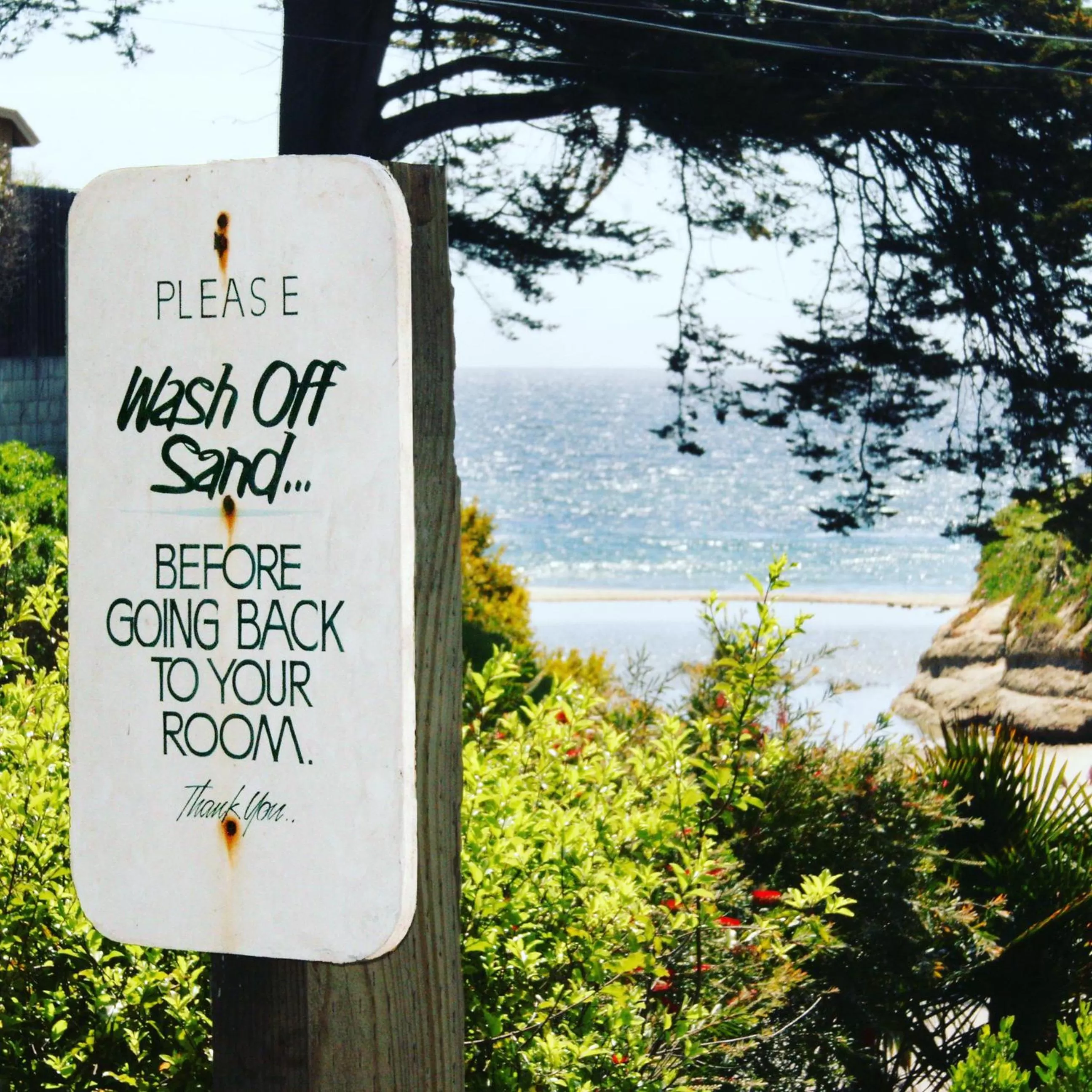 Beach in Ocean Echo Inn & Beach Cottages