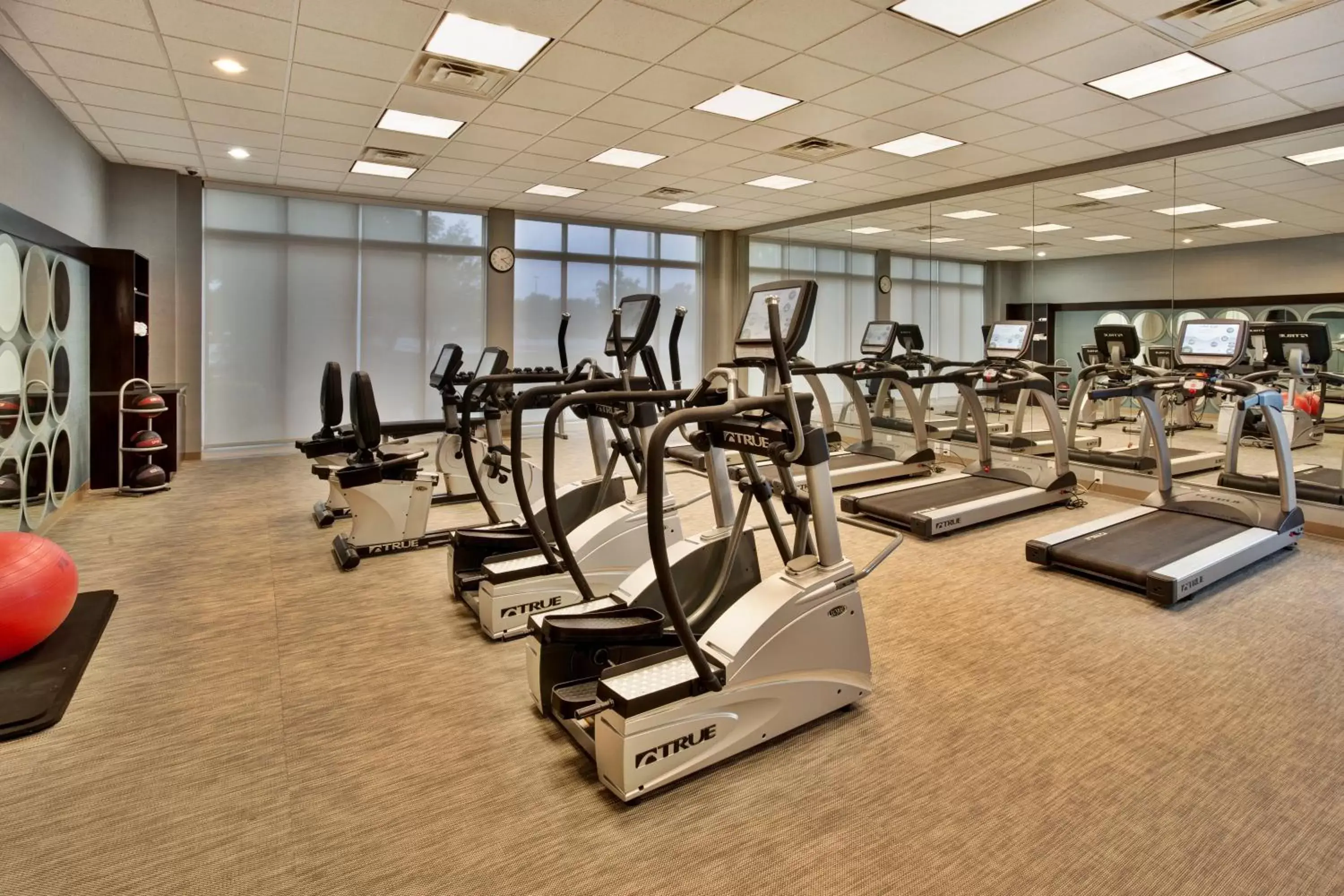 Fitness centre/facilities, Fitness Center/Facilities in Holiday Inn Hotel Detroit Metro Airport, an IHG Hotel