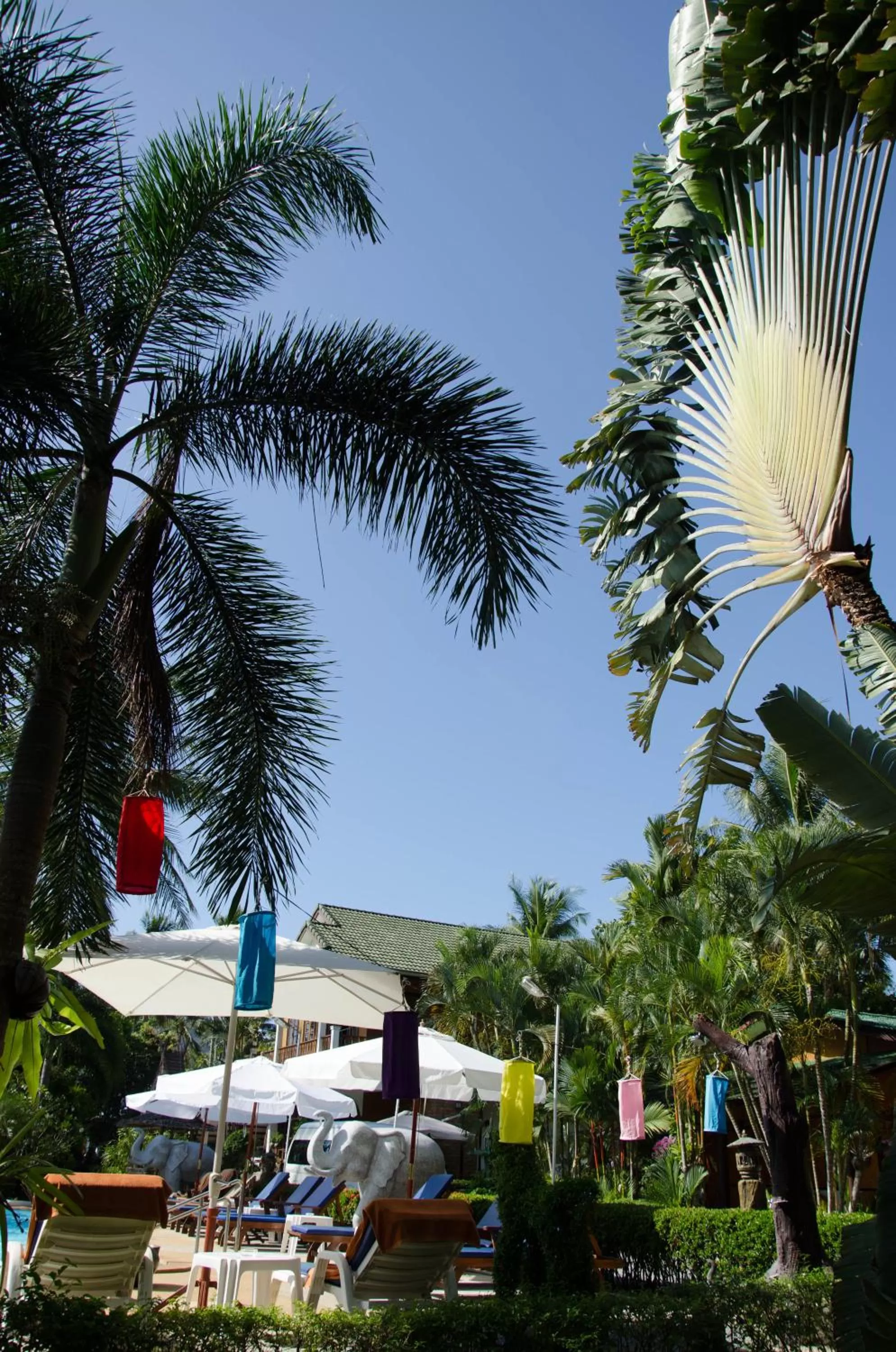 Property building in Jungle Village Bungalow