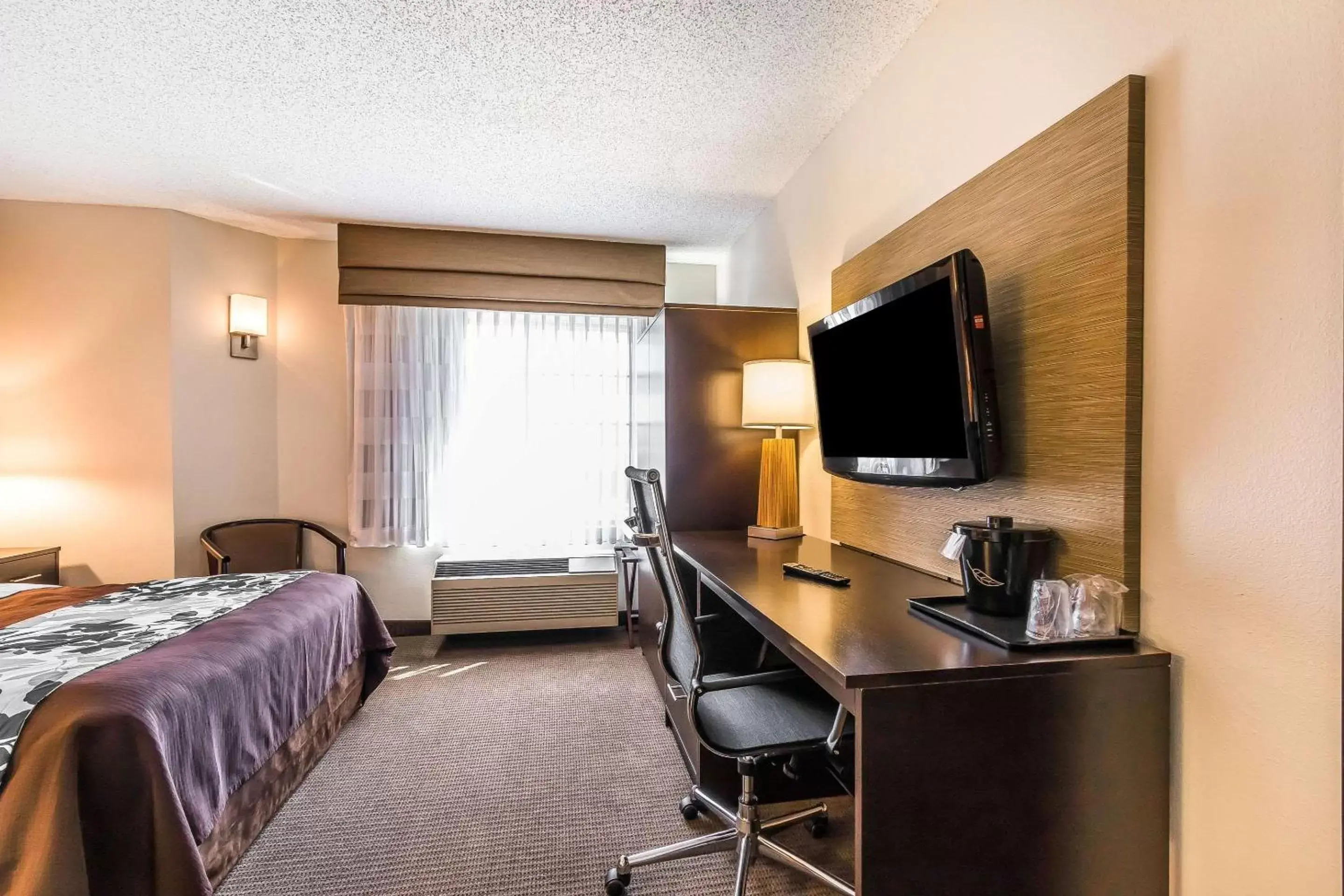 Business Room - Non-Smoking in Sleep Inn Springfield South I60 near Medical District Business Room - Non-Smoking in Sleep Inn Springfield South I60 near Medical District