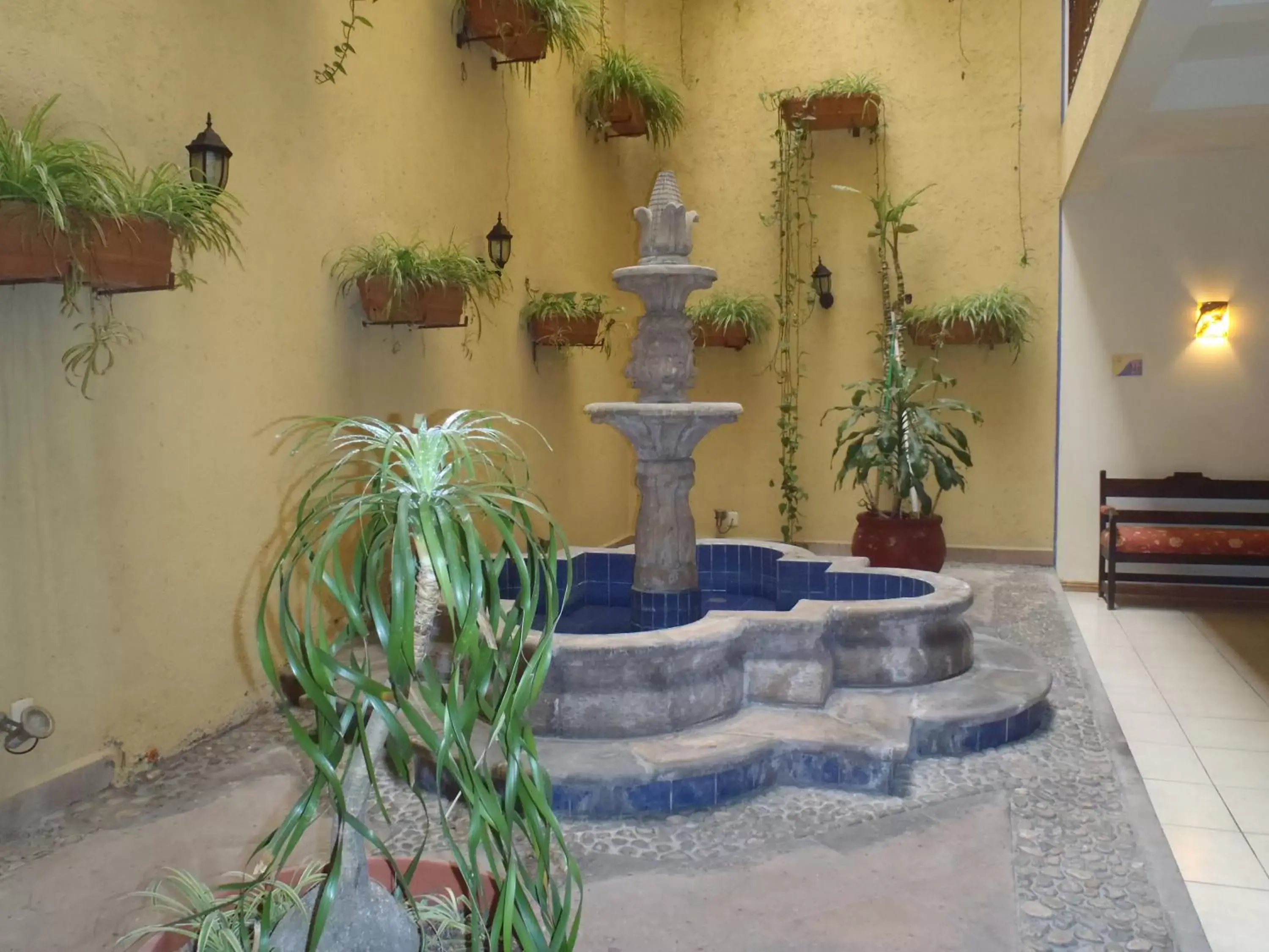 Garden, Swimming Pool in Hotel Casa Real Tehuacan