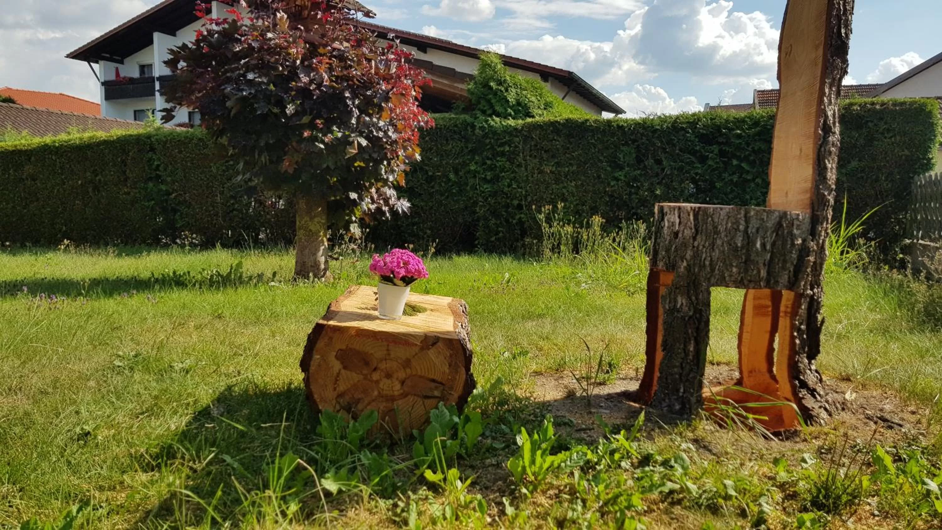 Garden view in Kurhotel Anders