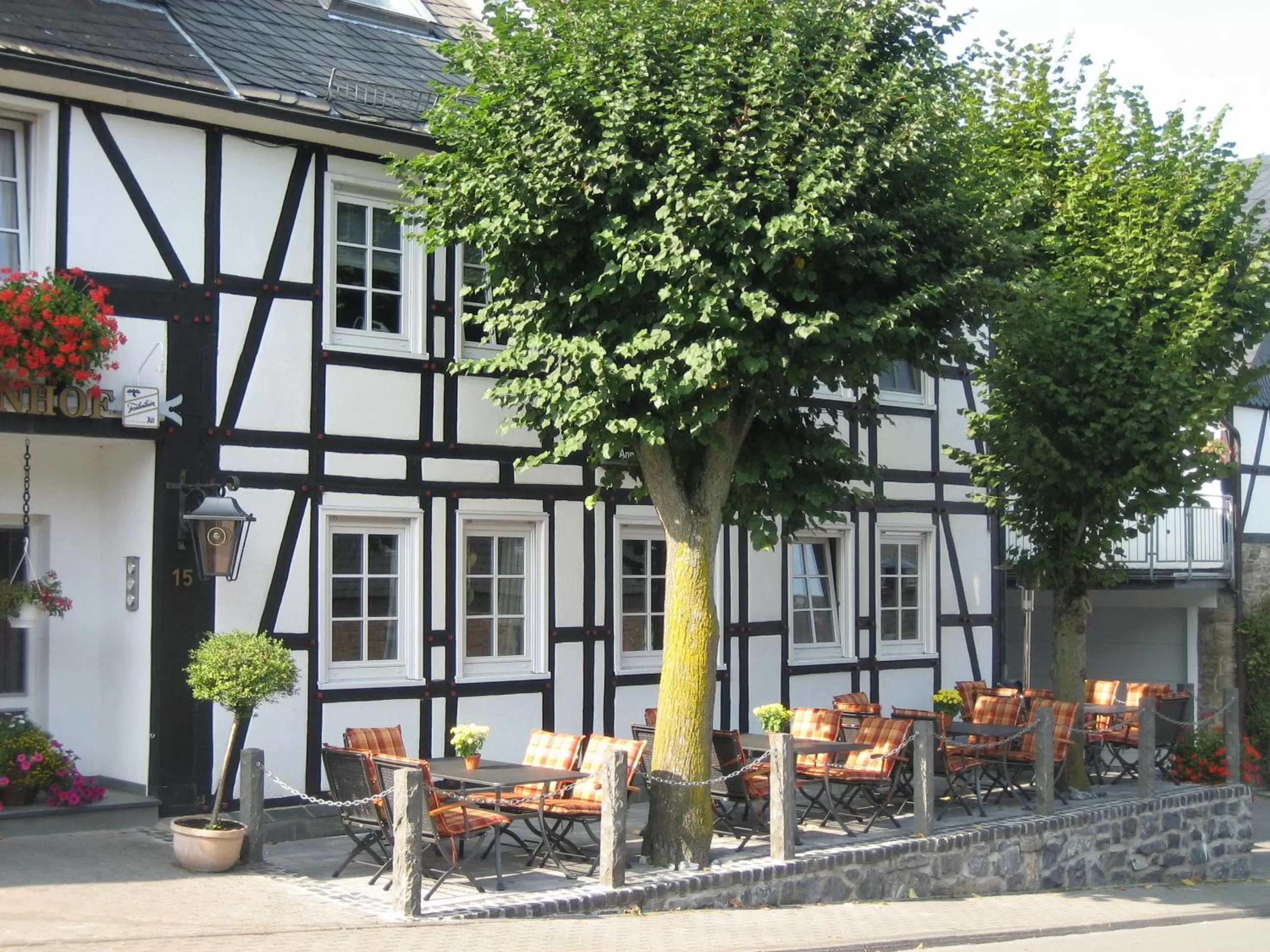 Facade/entrance in Hotel Lindenhof