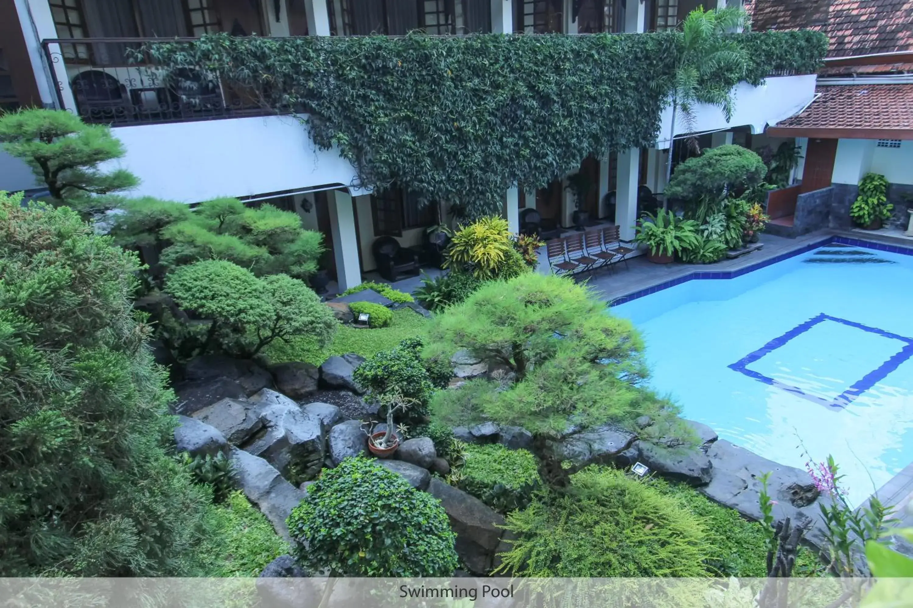 Garden, Bird's-eye View in Duta Guest House