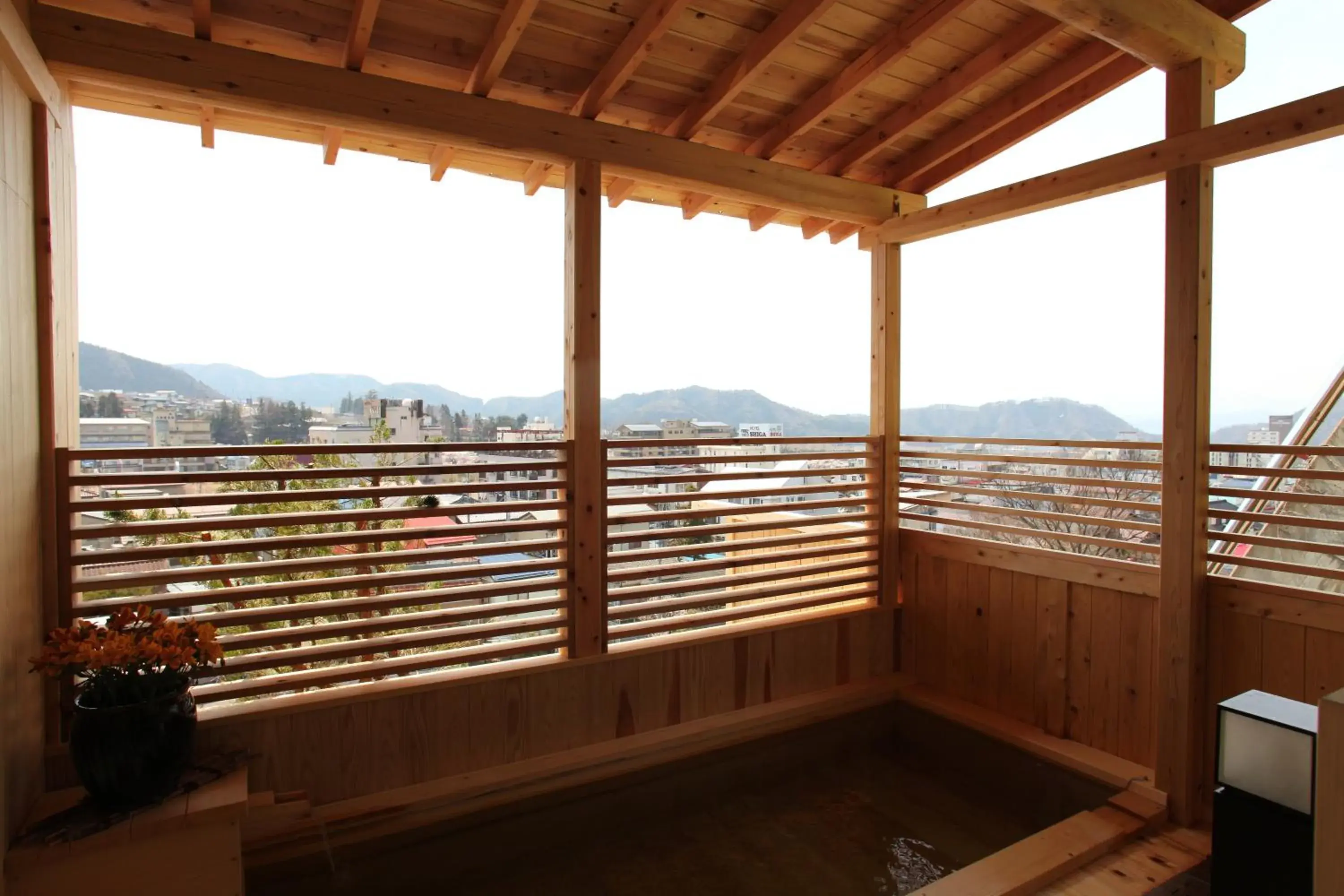 Hot Spring Bath, Mountain View in Ryokan Biyunoyado