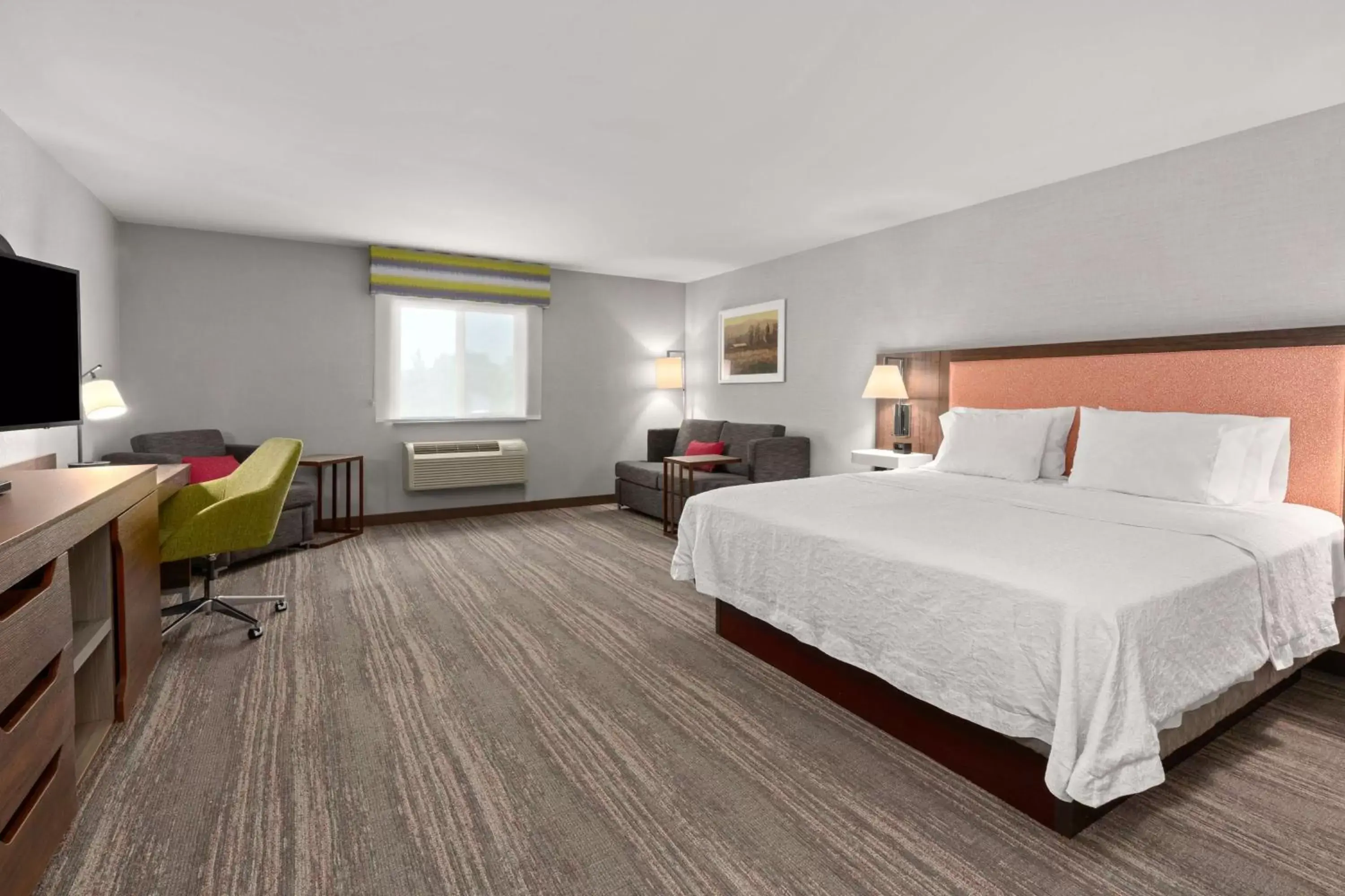 King Suite with Roll-In Shower - Mobility Accessible/Non-Smoking in Hampton Inn & Suites Burlington