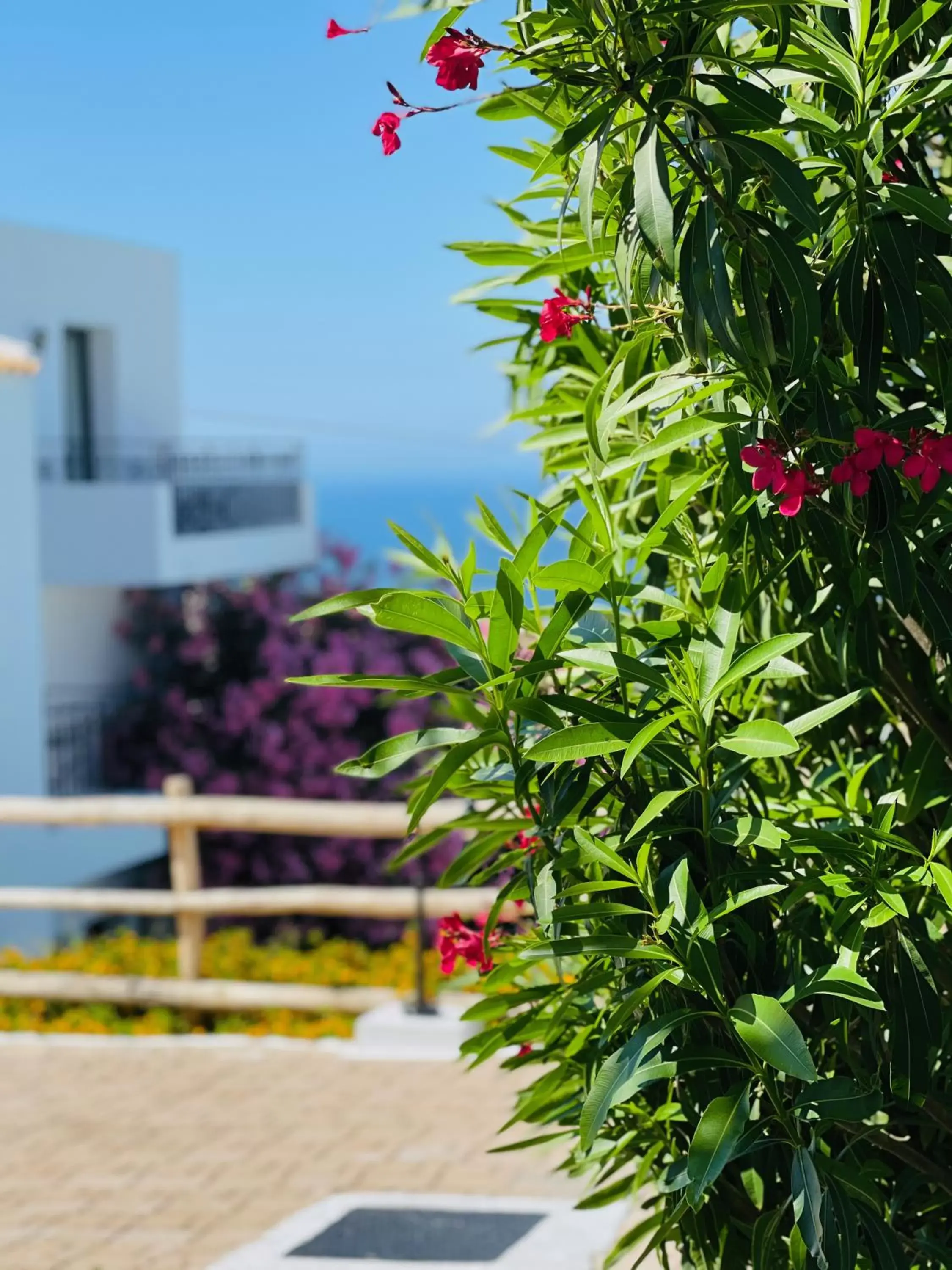 Garden, Property Building in Creta Blue Boutique Hotel