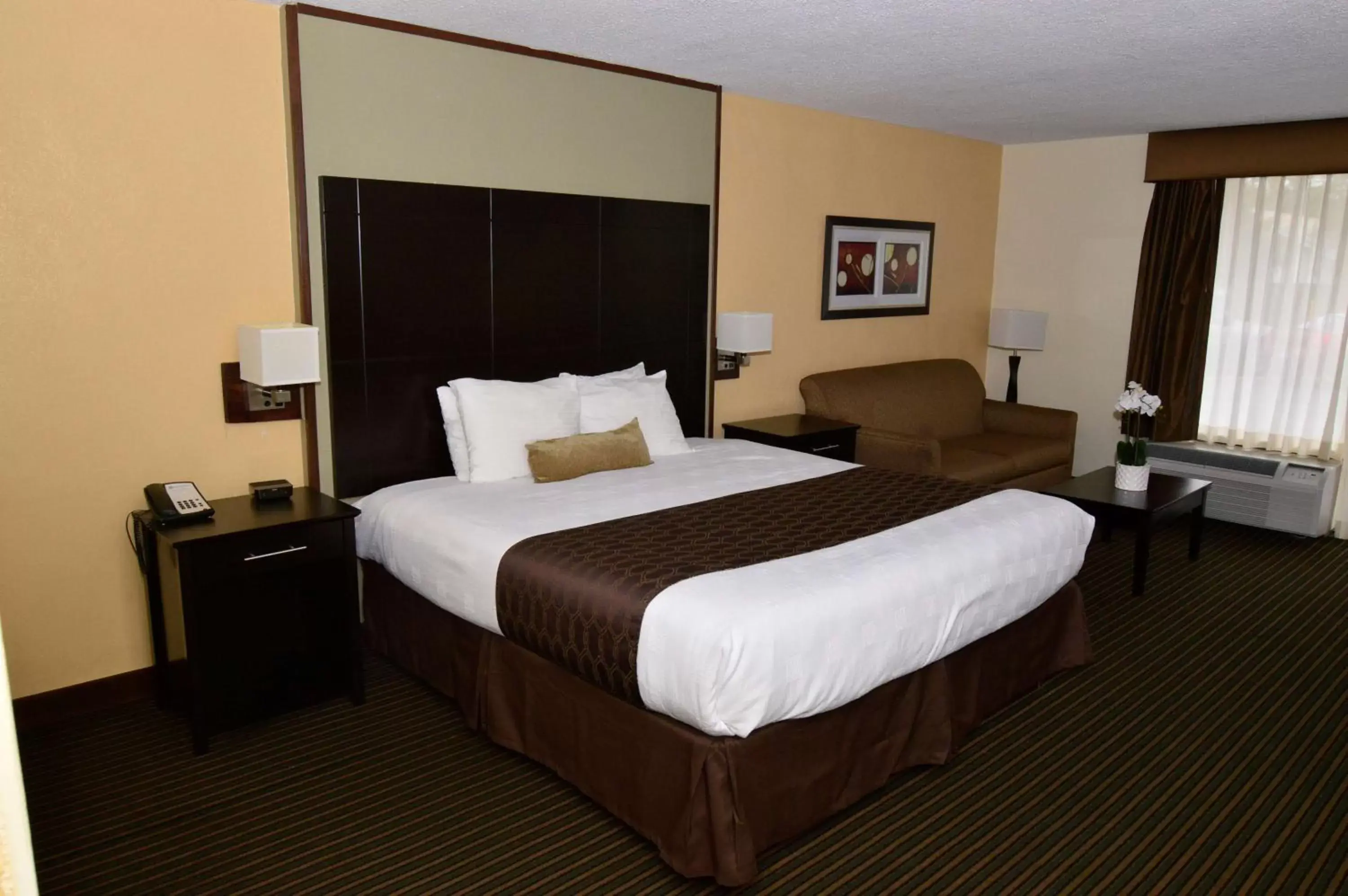 Photo of the whole room, Bed in Best Western Inn of Del Rio