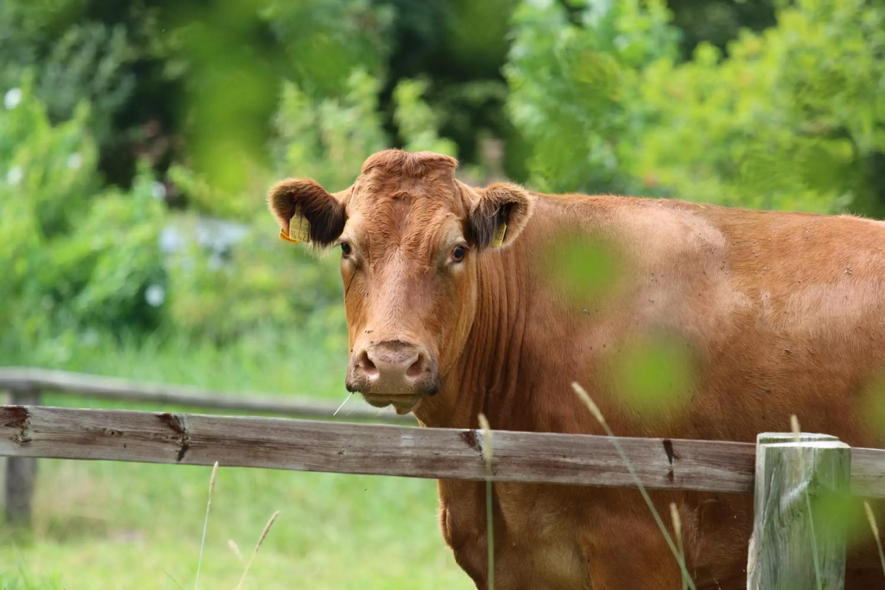 View (from property/room) in Buntes Moor View (from property/room) in Buntes Moor