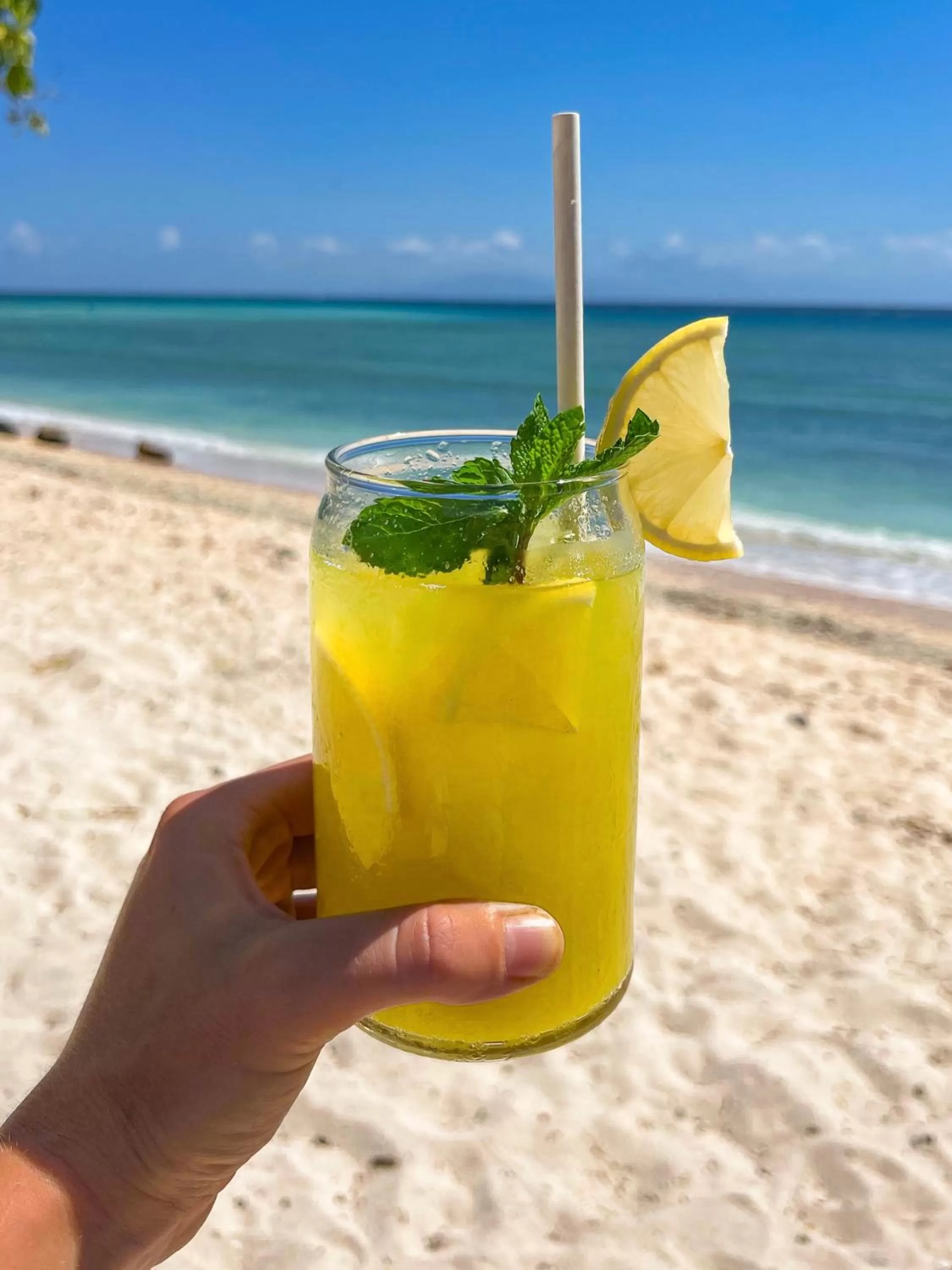 Non alcoholic drinks in Taj Maza Sunset Villas