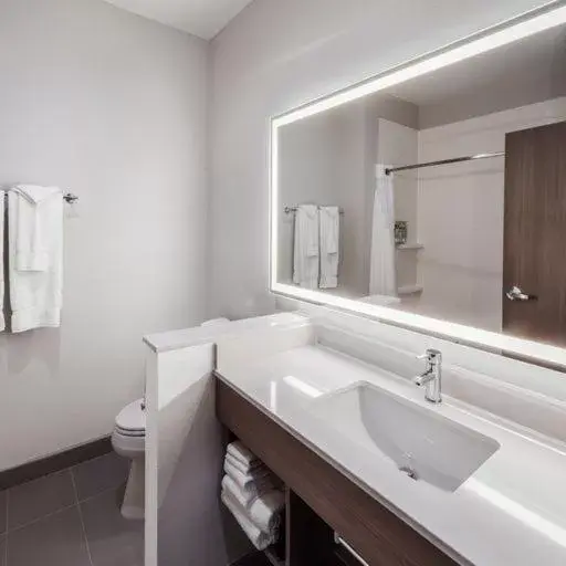 Bathroom in Holiday Inn Express & Suites - Houston SW - Rosenberg, an IHG Hotel