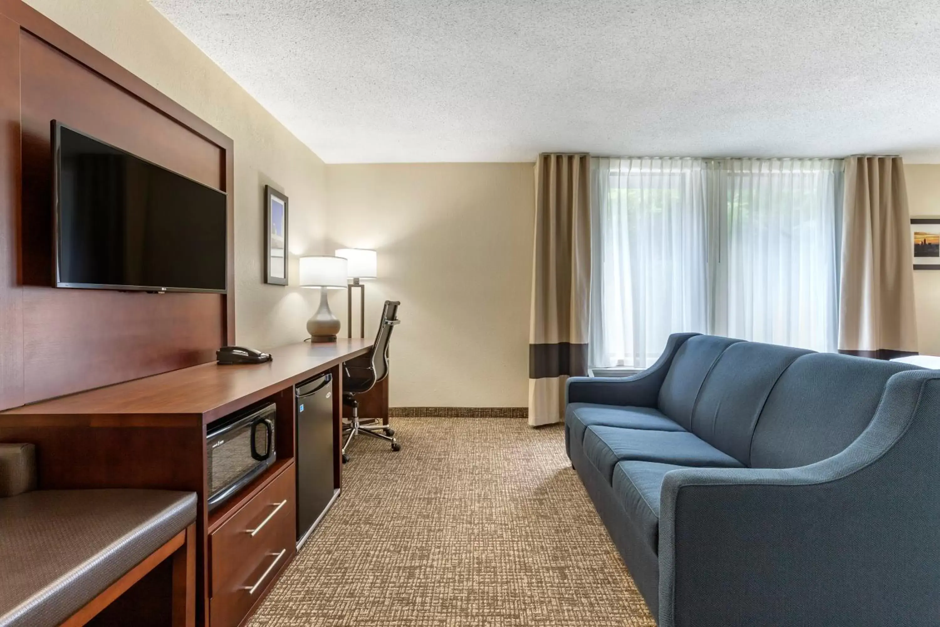 Seating area, TV/Entertainment Center in Comfort Inn Charlotte Airport Uptown