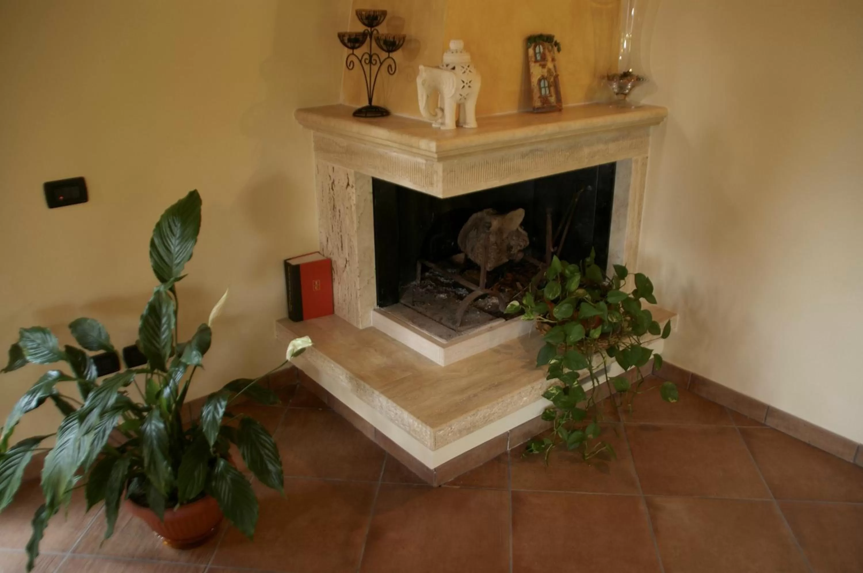 Area and facilities in Pisa Holidays