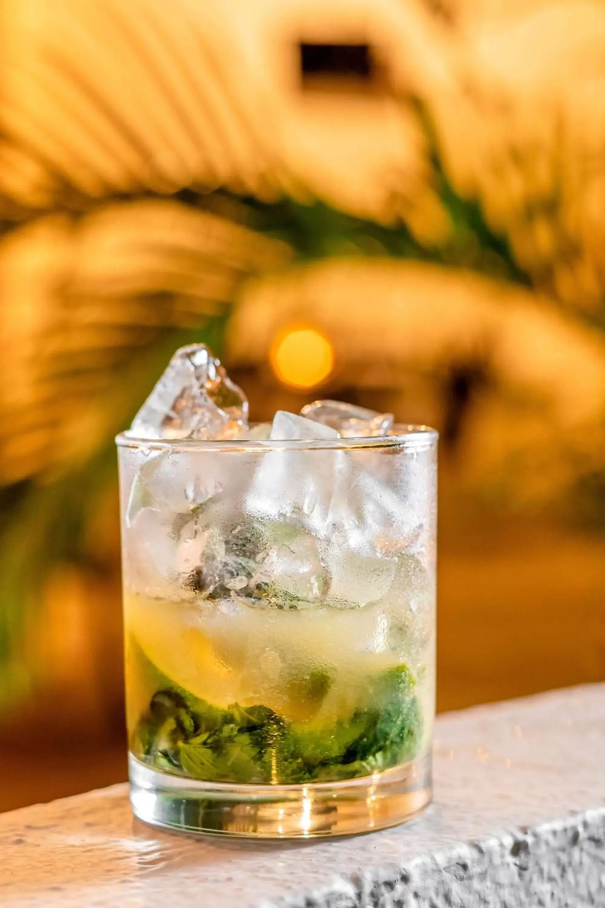 Lounge or bar in Hyatt Regency Villahermosa Lounge or bar in Hyatt Regency Villahermosa