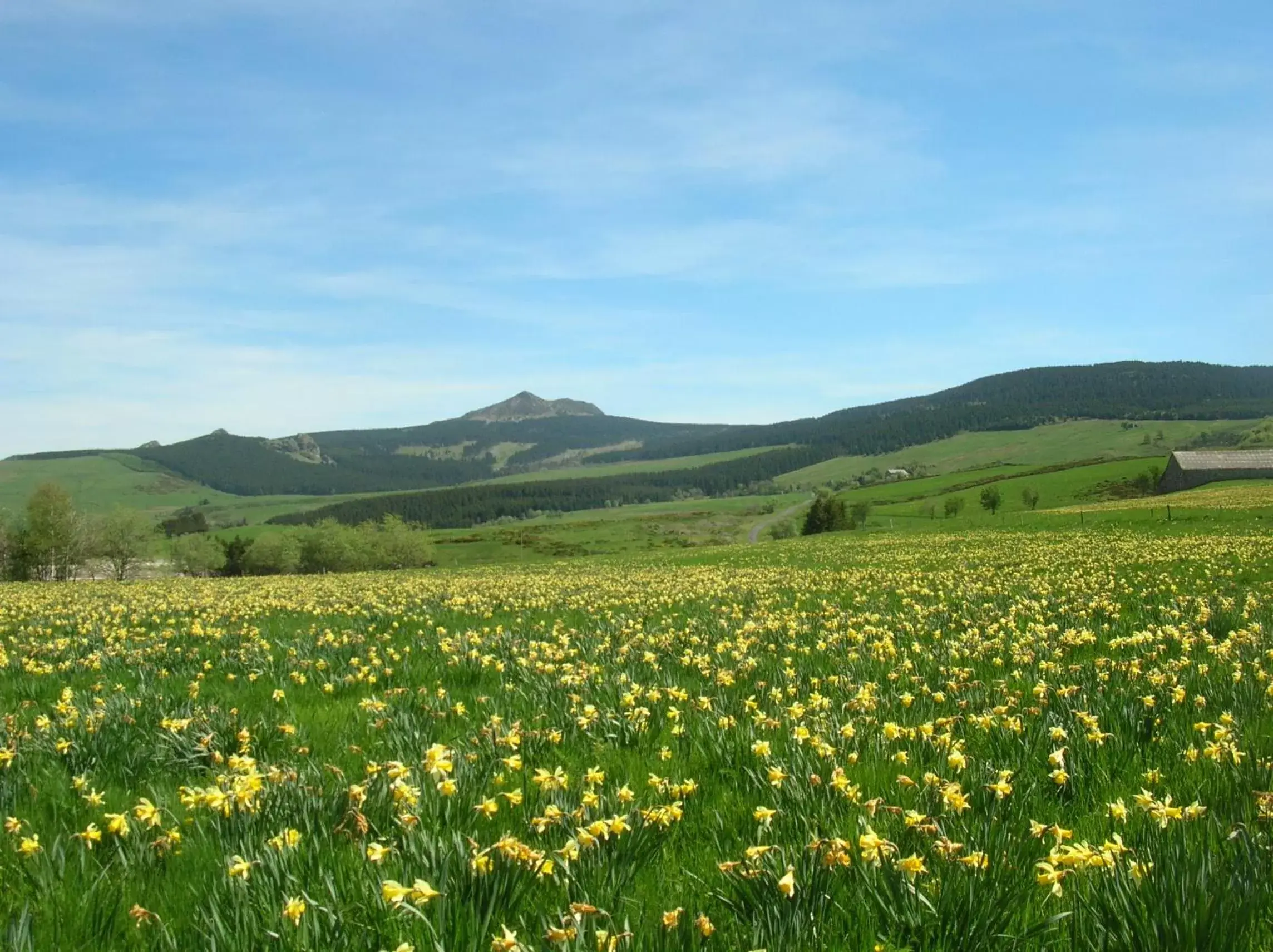 Natural Landscape in Bastides Du Mezenc