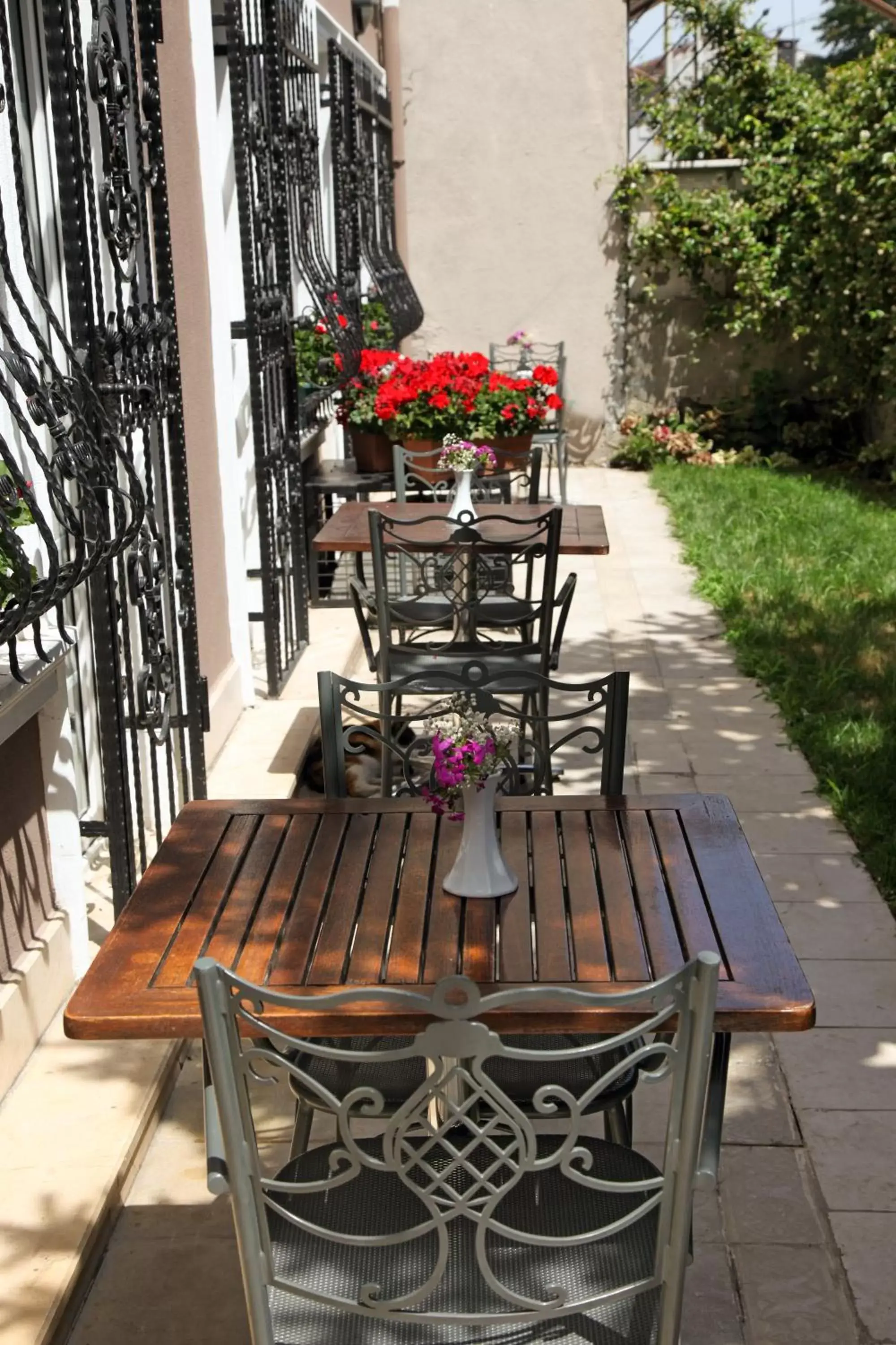 Garden, Patio/Outdoor Area in Almina Hotel - Special Class
