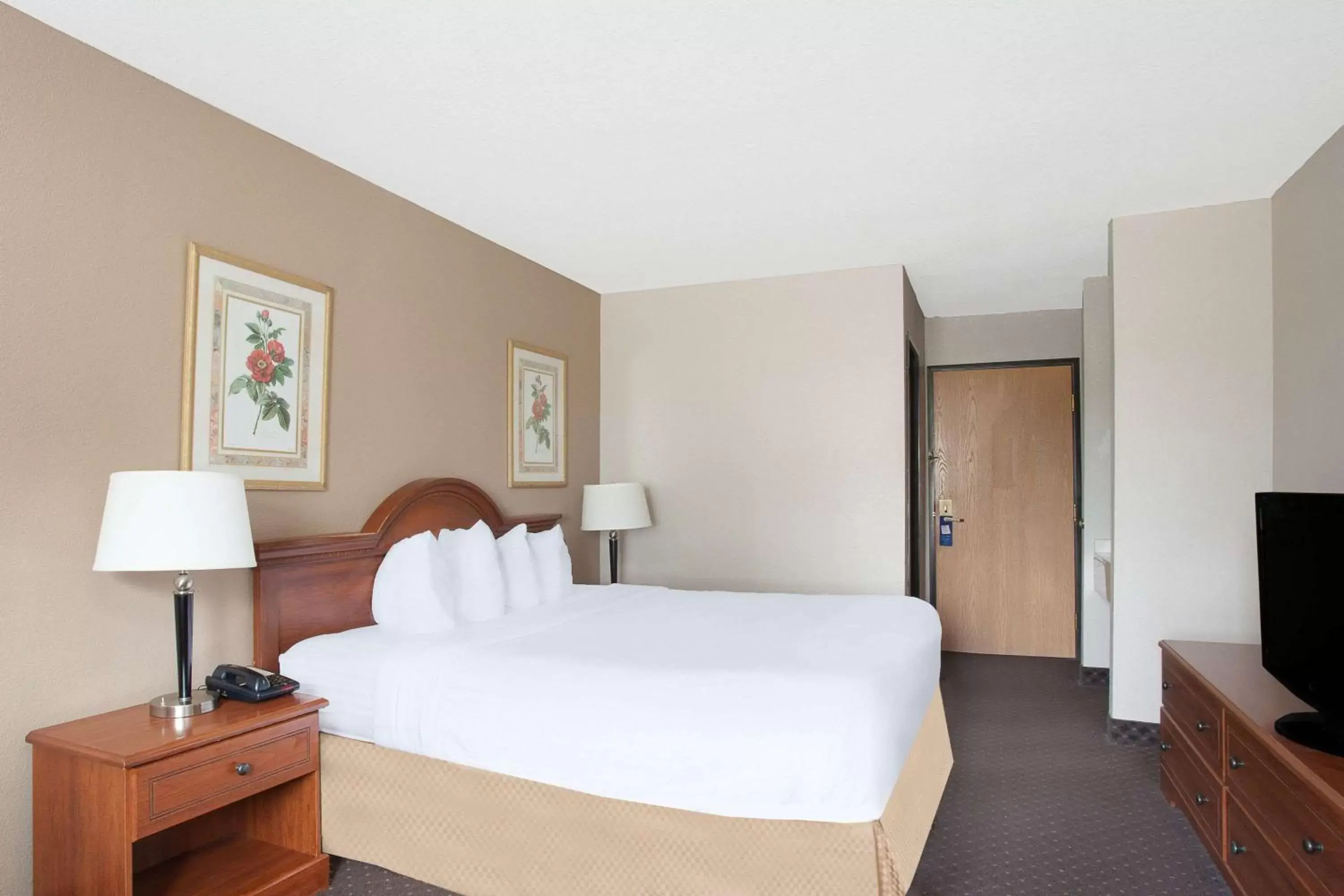 Photo of the whole room, Bed in Baymont Inn & Suites by Wyndham San Marcos