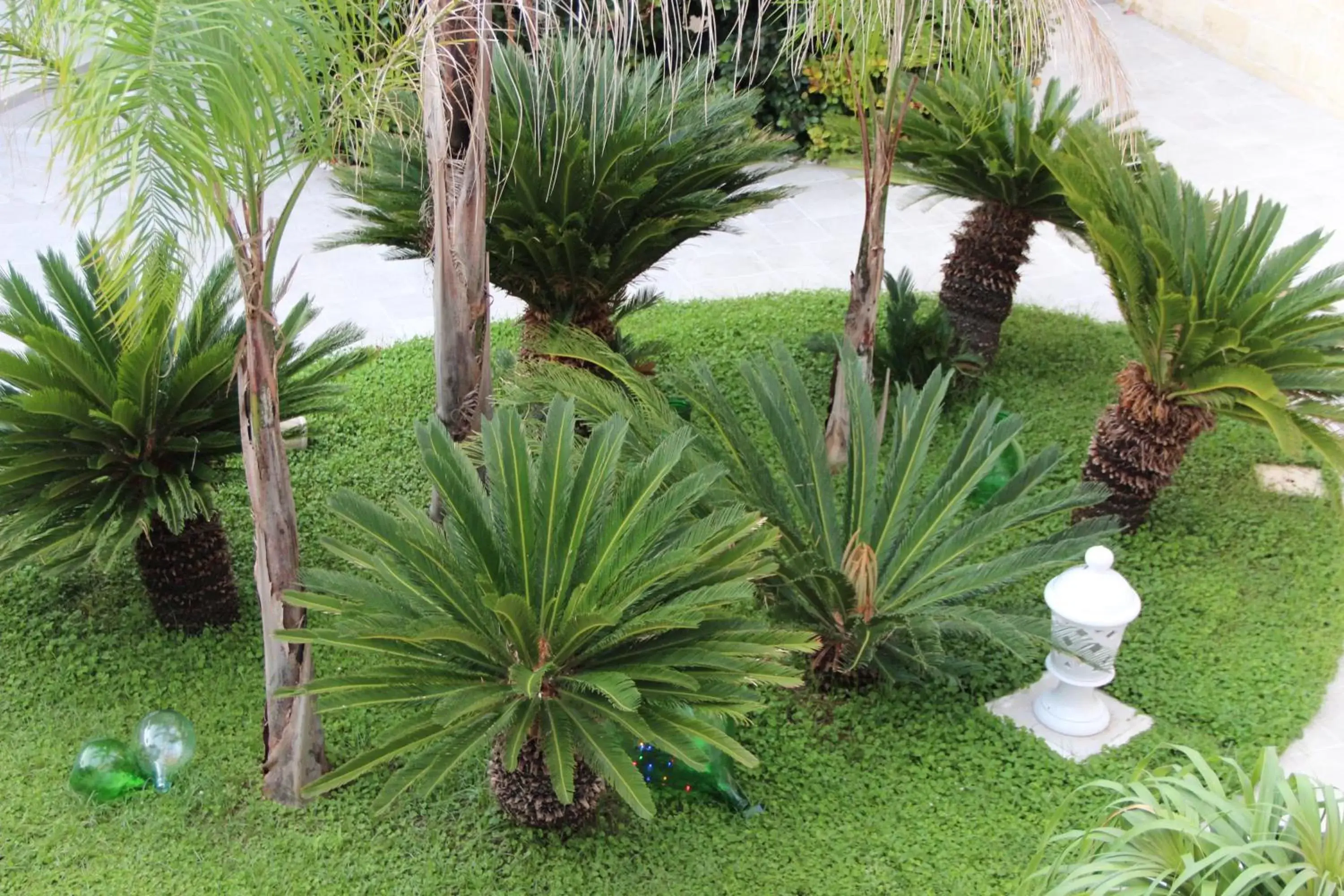 Garden in Il Giardino della Scuncerta