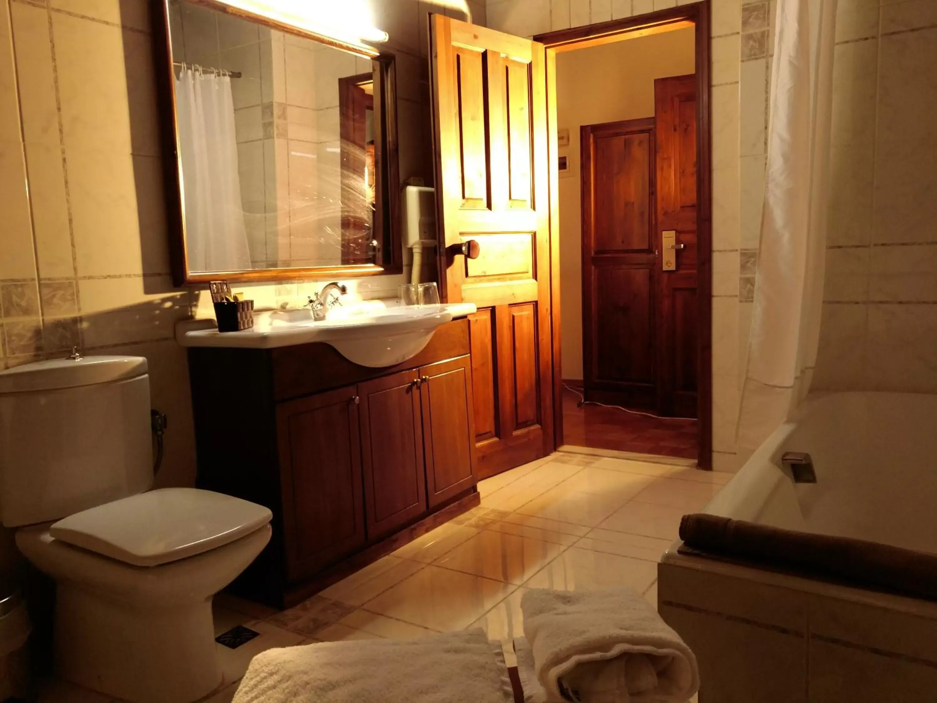 Bathroom in Domotel Anemolia Mountain Resort